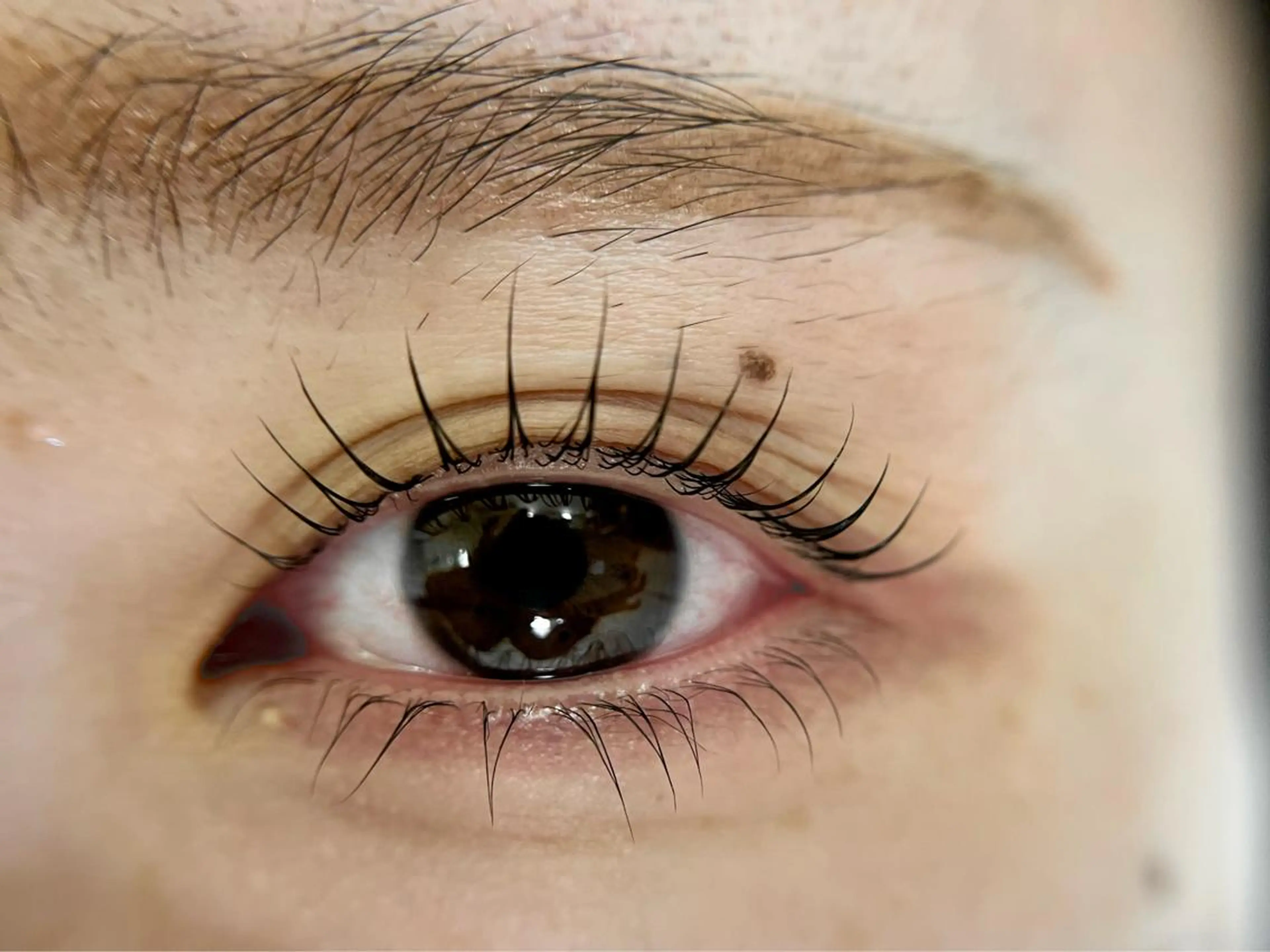 マツエク・マツパ マツパ －Ojiー セナのマツエク・マツパデザイン