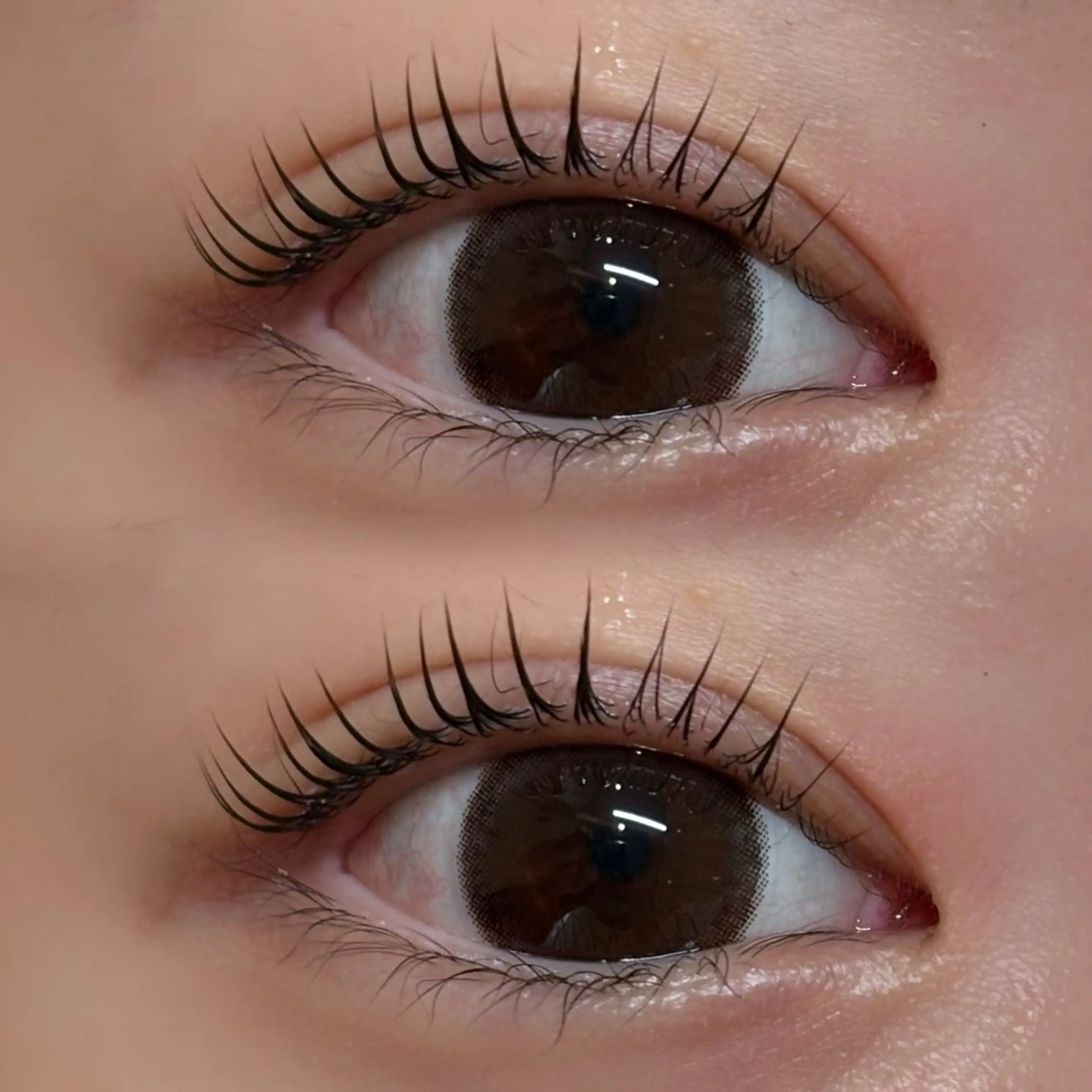 マツエク・マツパ パリジェンヌラッシュリフト miyu / sofa吉祥寺のマツエク・マツパデザイン