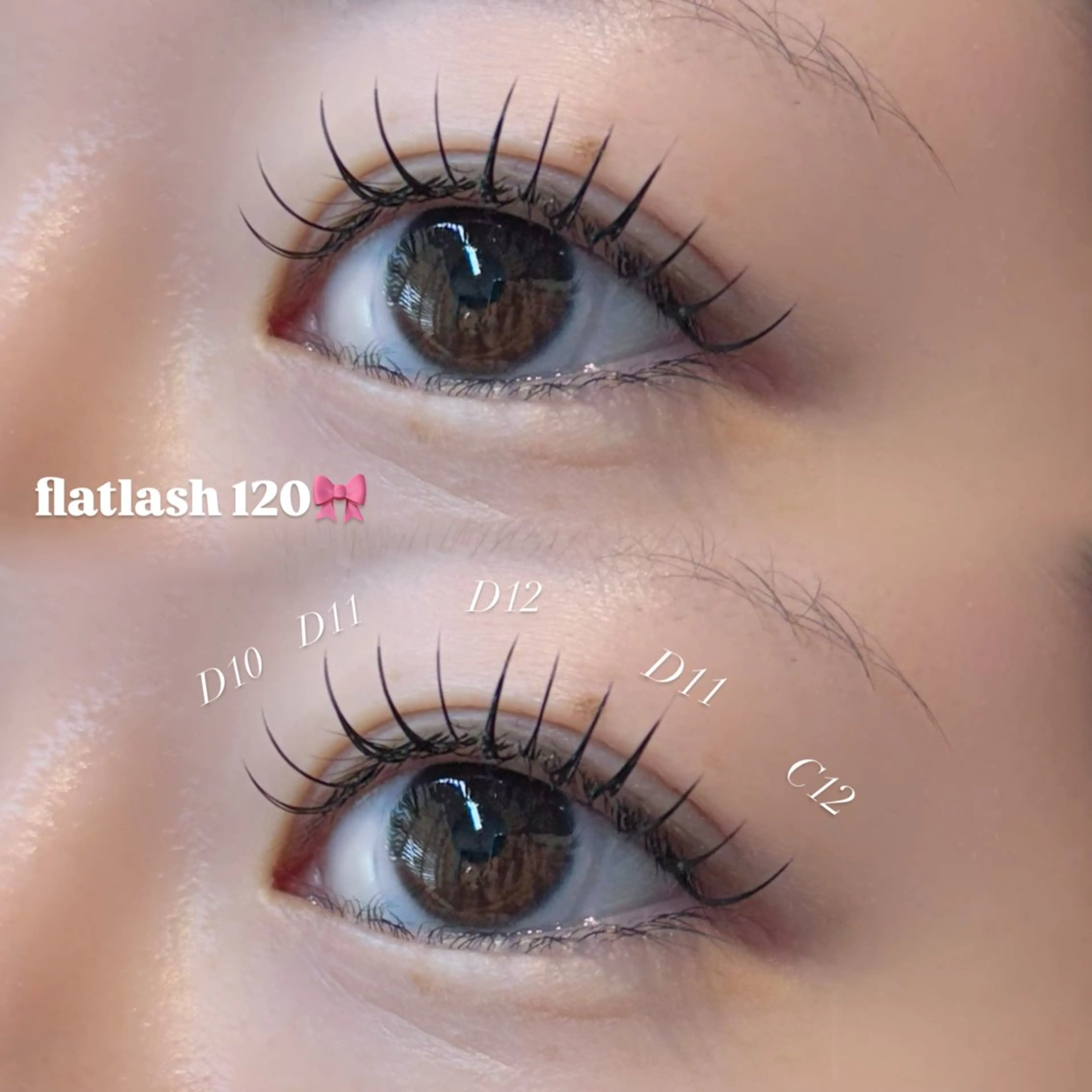 ［オフ込］最軽量‼️プレミアムマットフラットラッシュ100本の写真