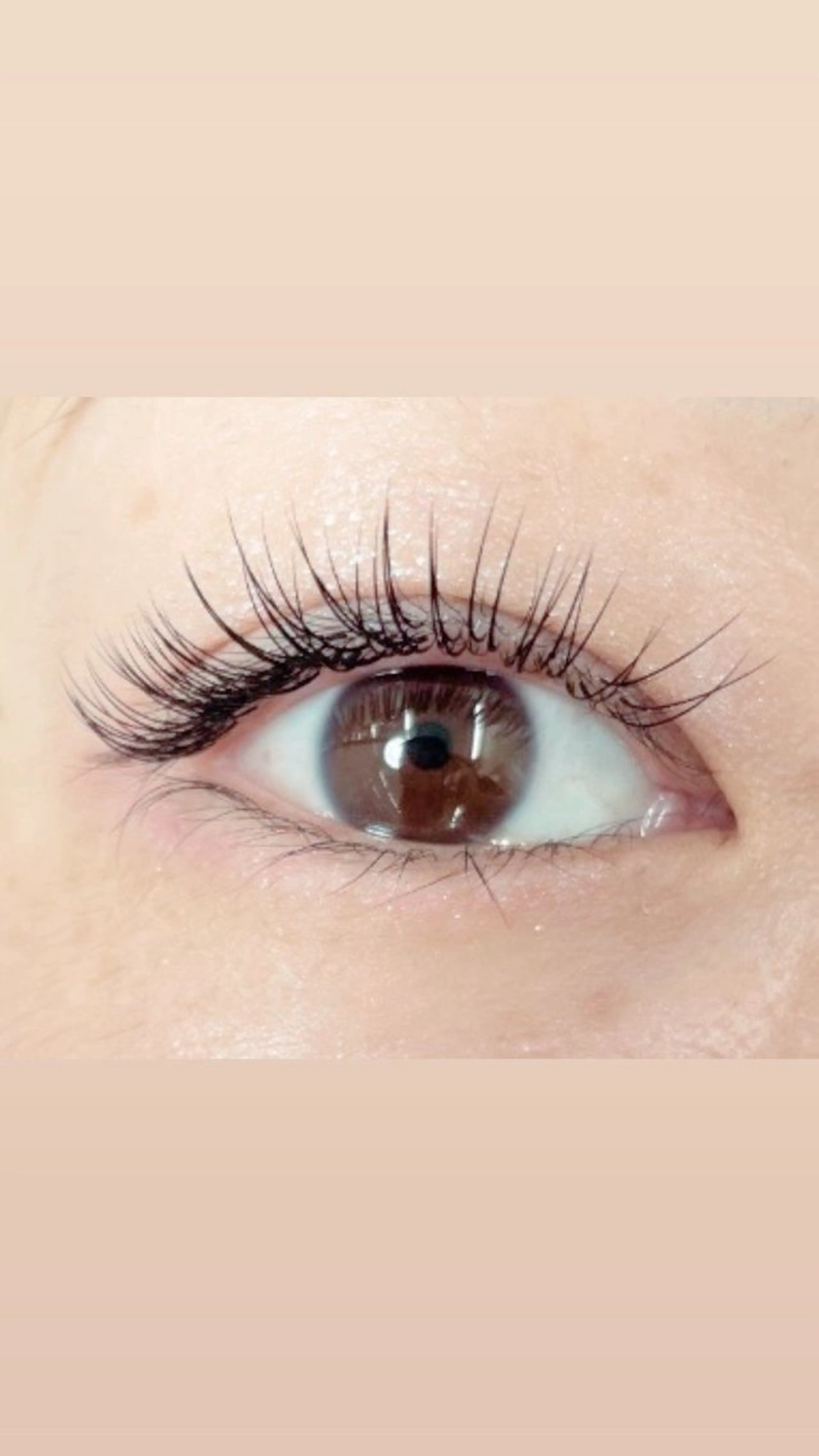 マツエク・マツパ Eyelash 大阪梅田 MAXKELLY【アイラッシュ ウメダ マックスケリー】所属・🦋maxkelly .mizuki🦋のマツエク・マツパデザイン