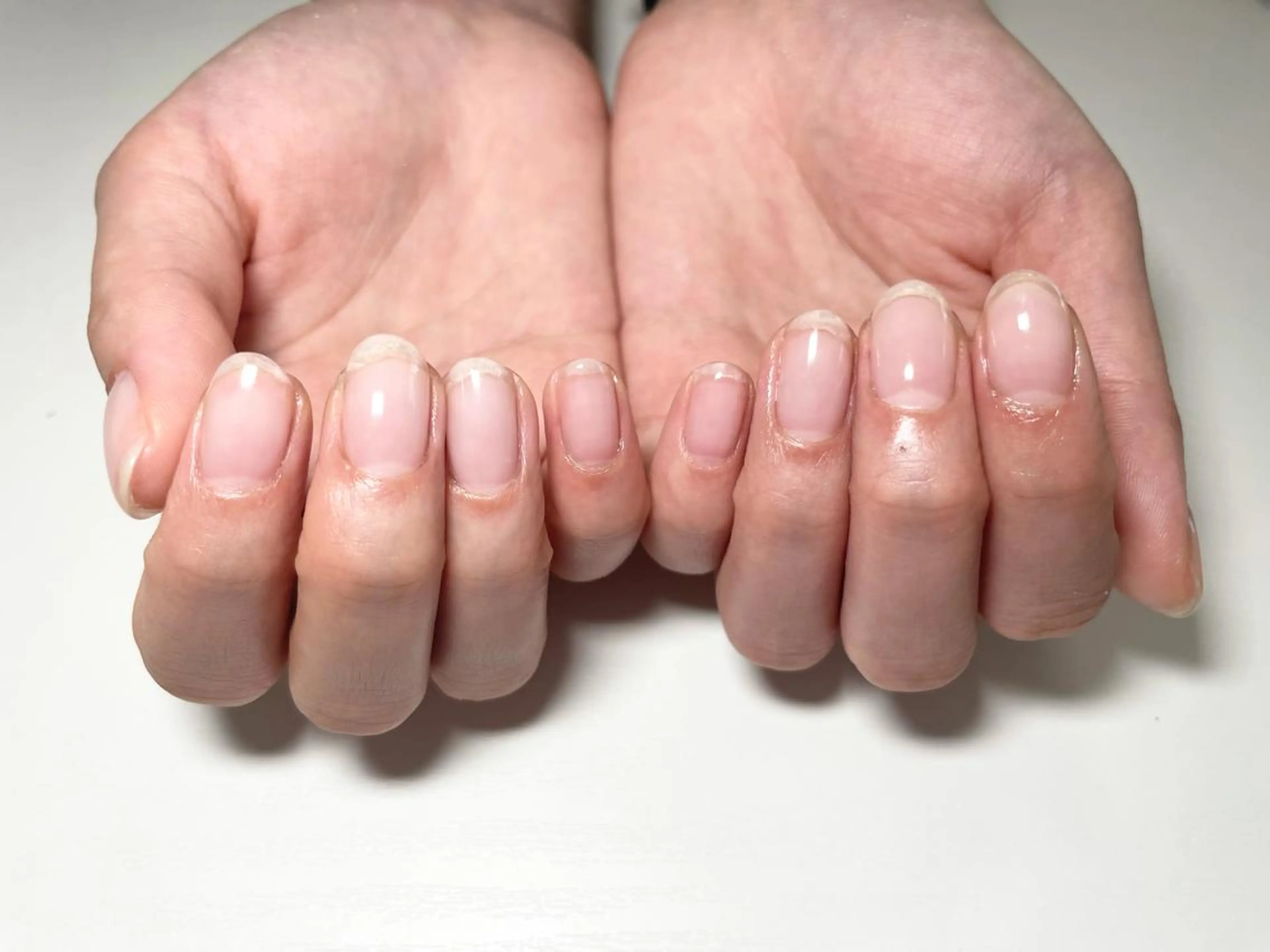 【オフなし】ワンカラー（クリア）の写真