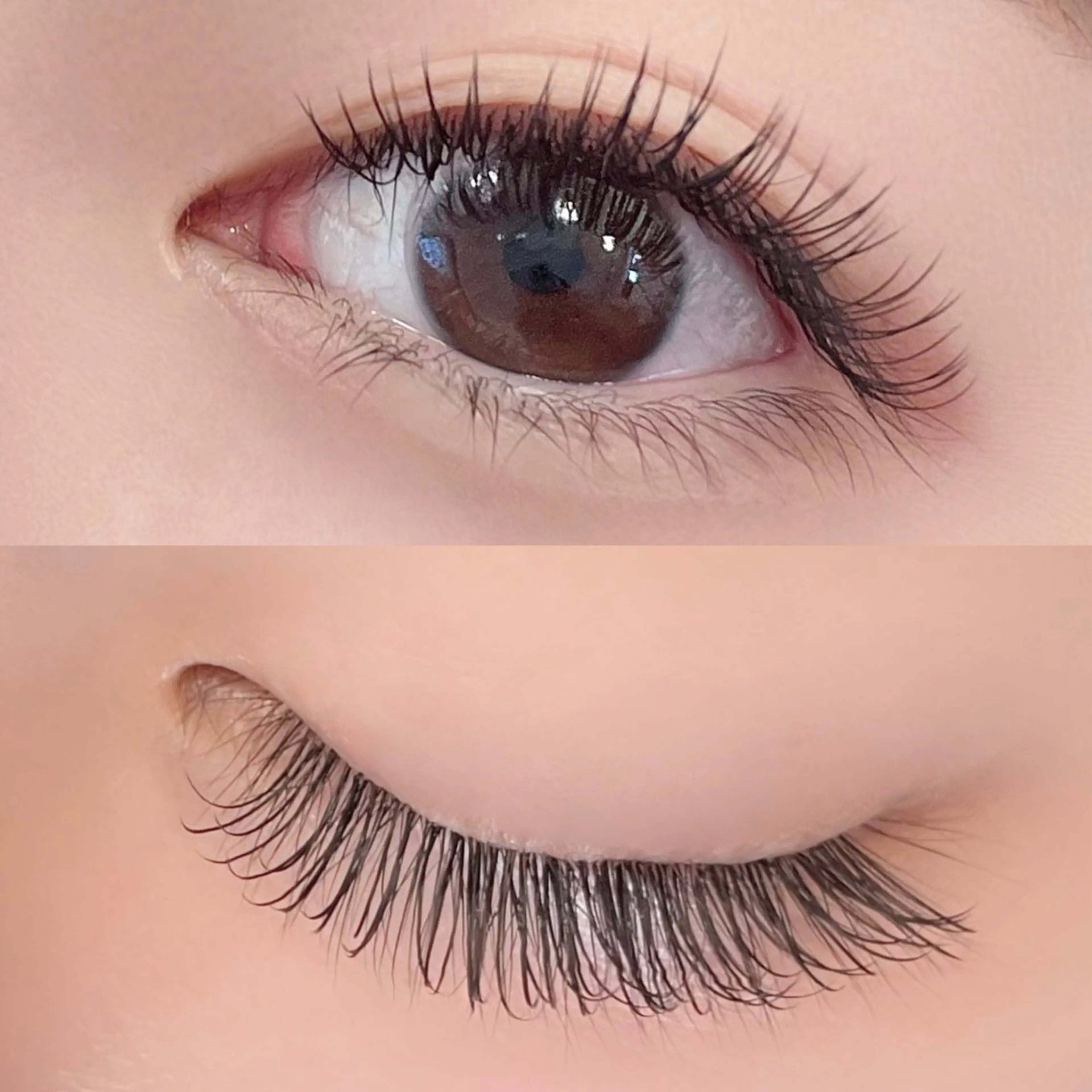 マツエク・マツパ CCカール Cカール フラットラッシュ マツエク Seek  Dea YUNO🪽のマツエク・マツパデザイン