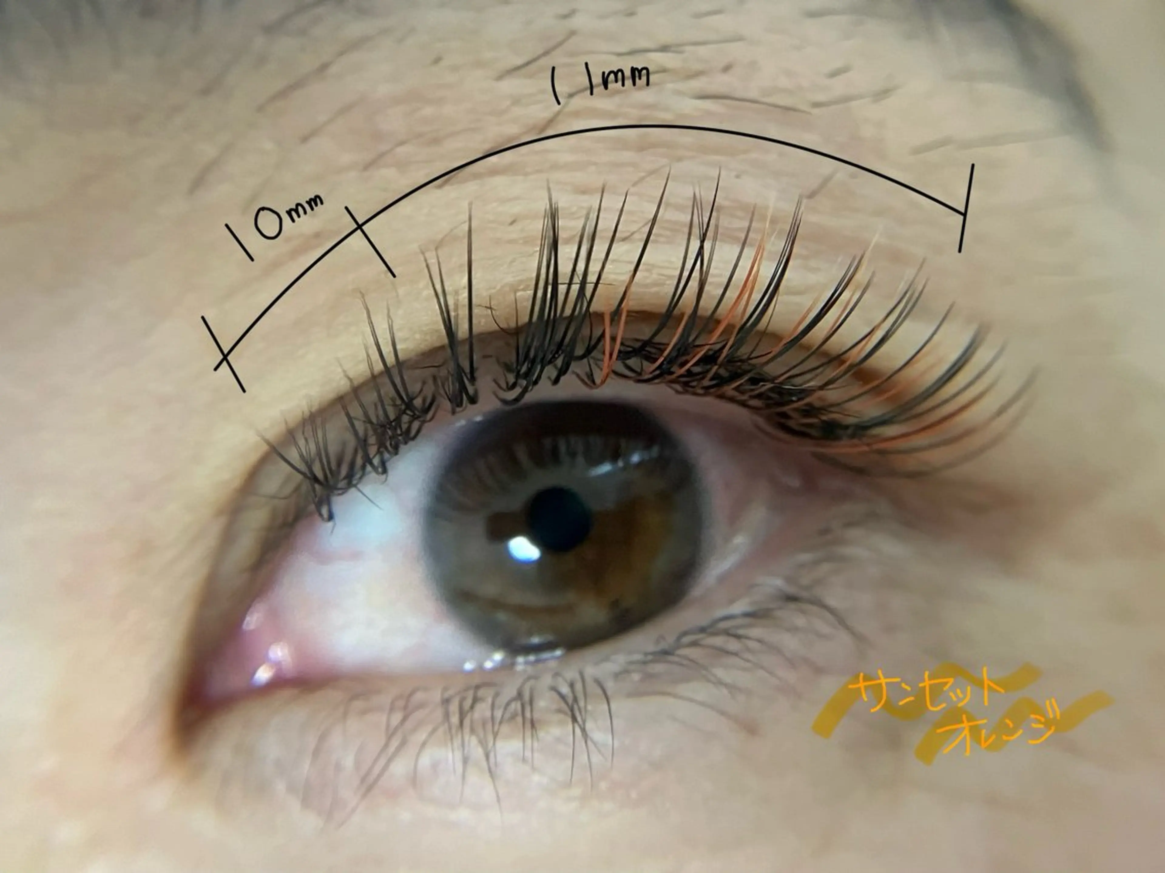 マツエク・マツパ マツエク Plume micoのマツエク・マツパデザイン