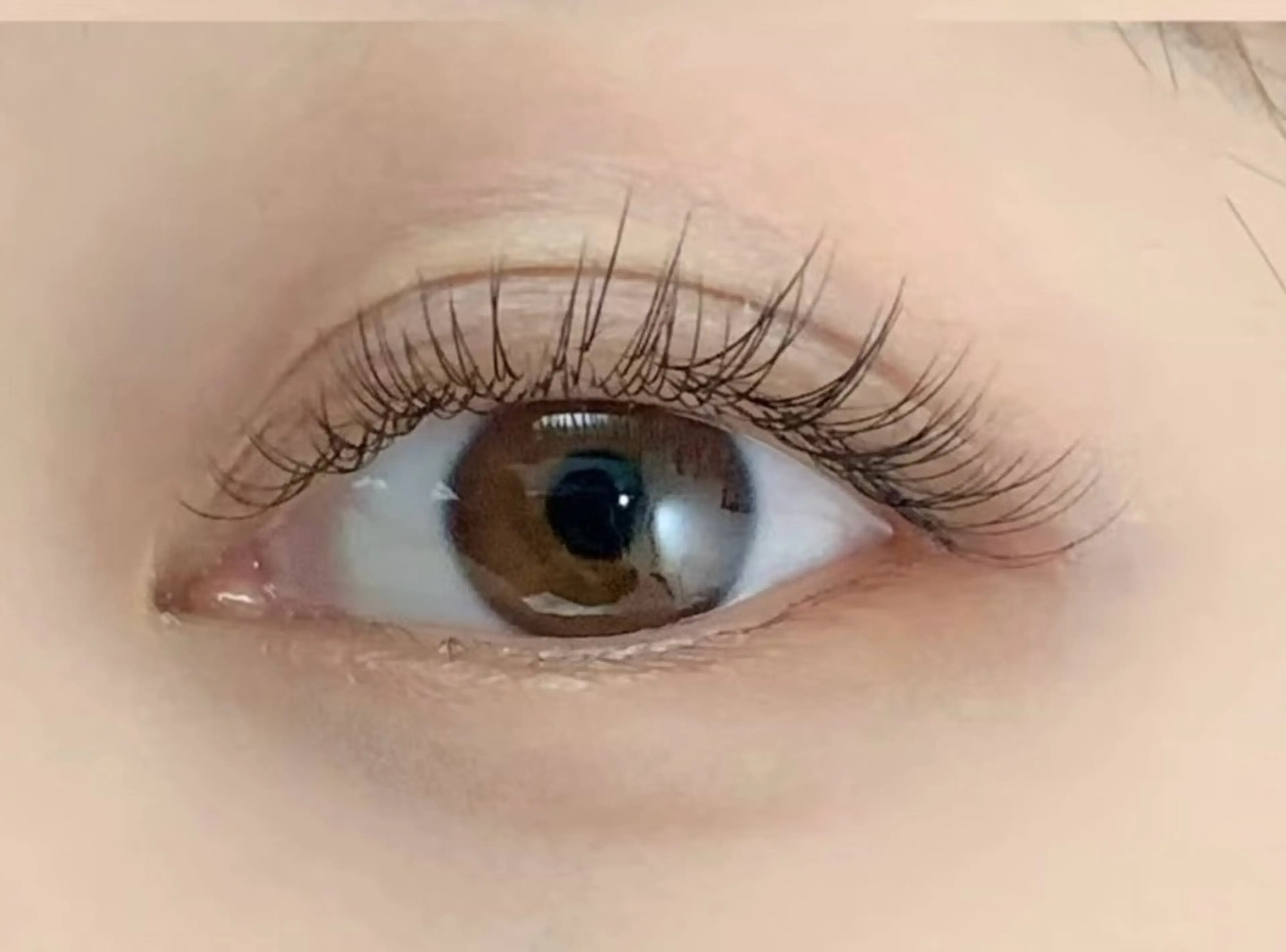 フラットマットラッシュ90本[オフ無し]の写真