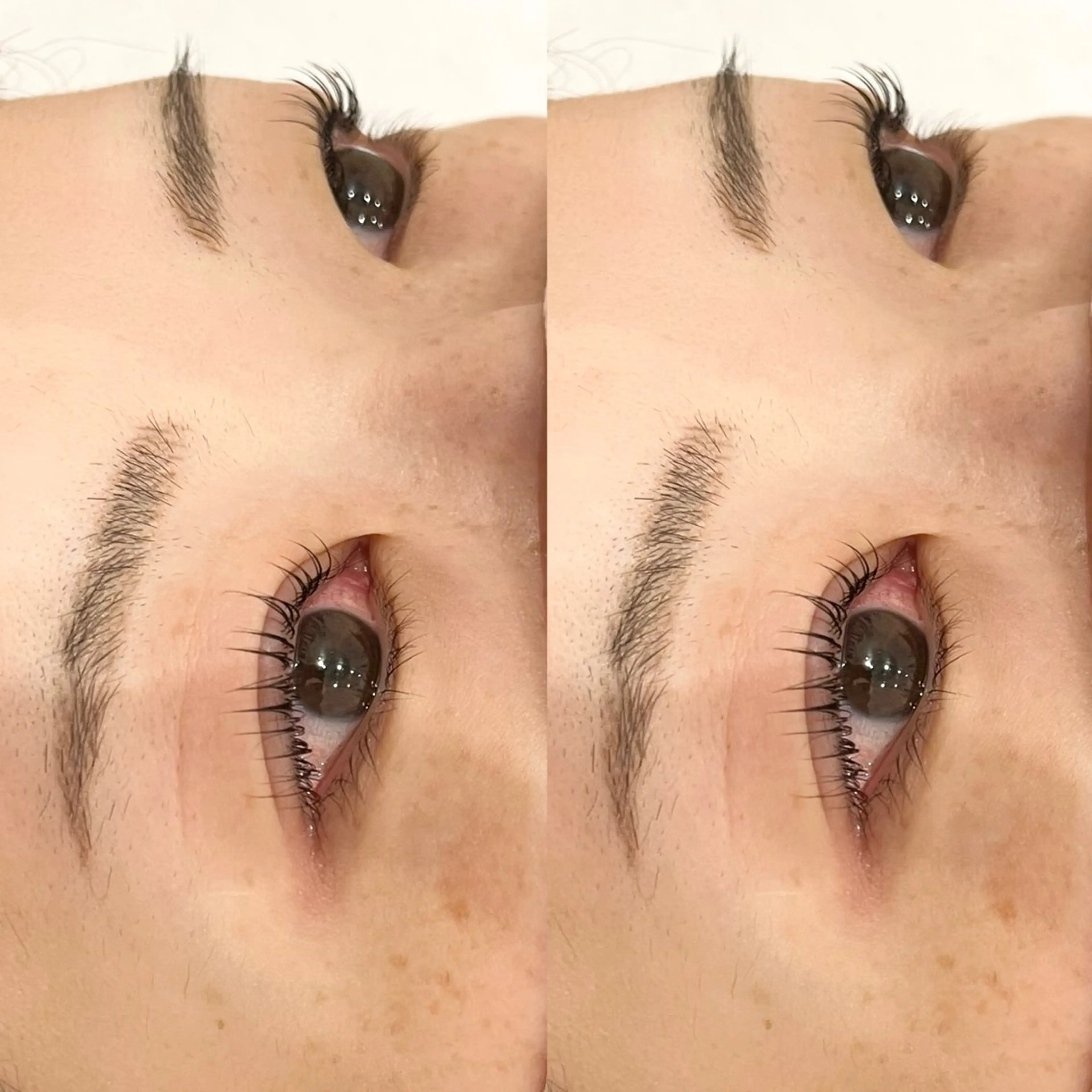 【上下】✨まつげパーマ✨の写真
