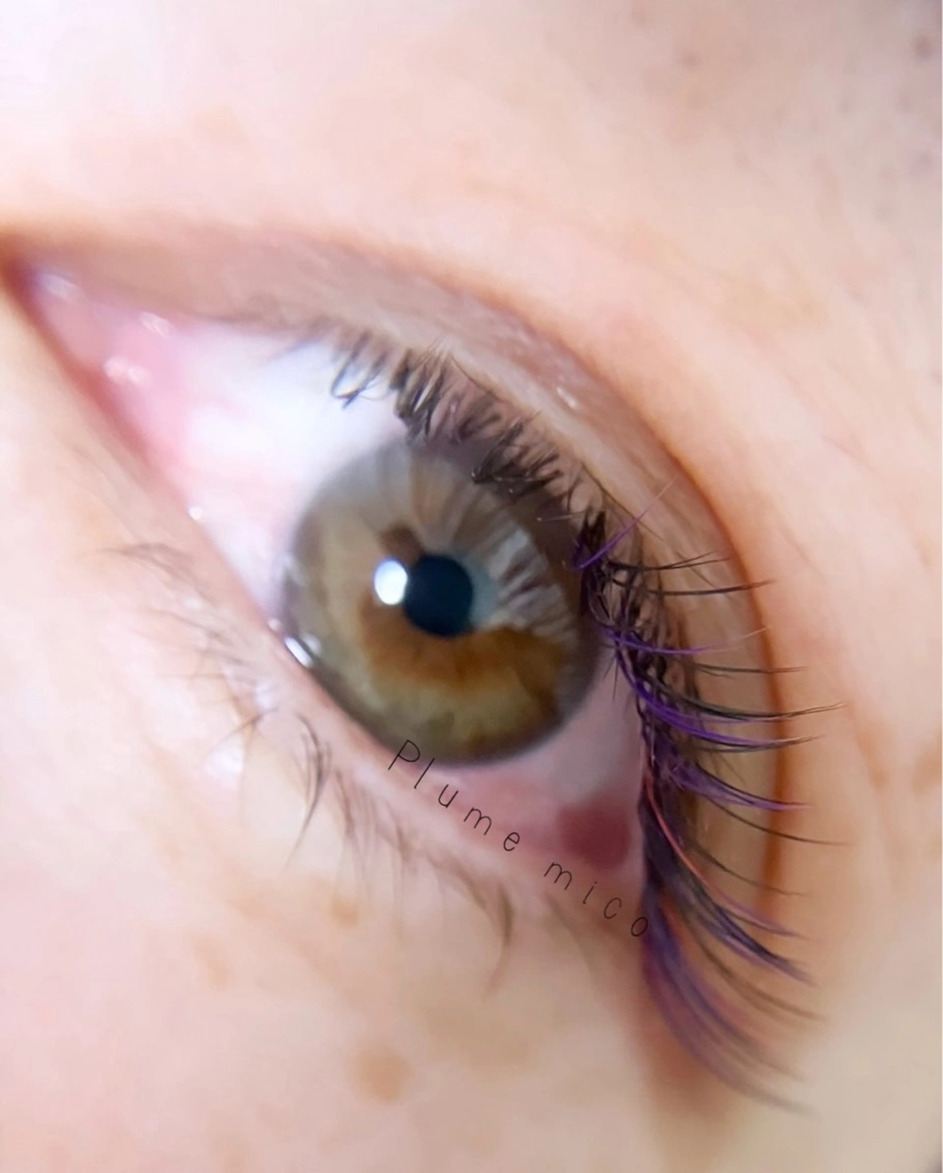 マツエク・マツパ マツエク Plume micoのマツエク・マツパデザイン