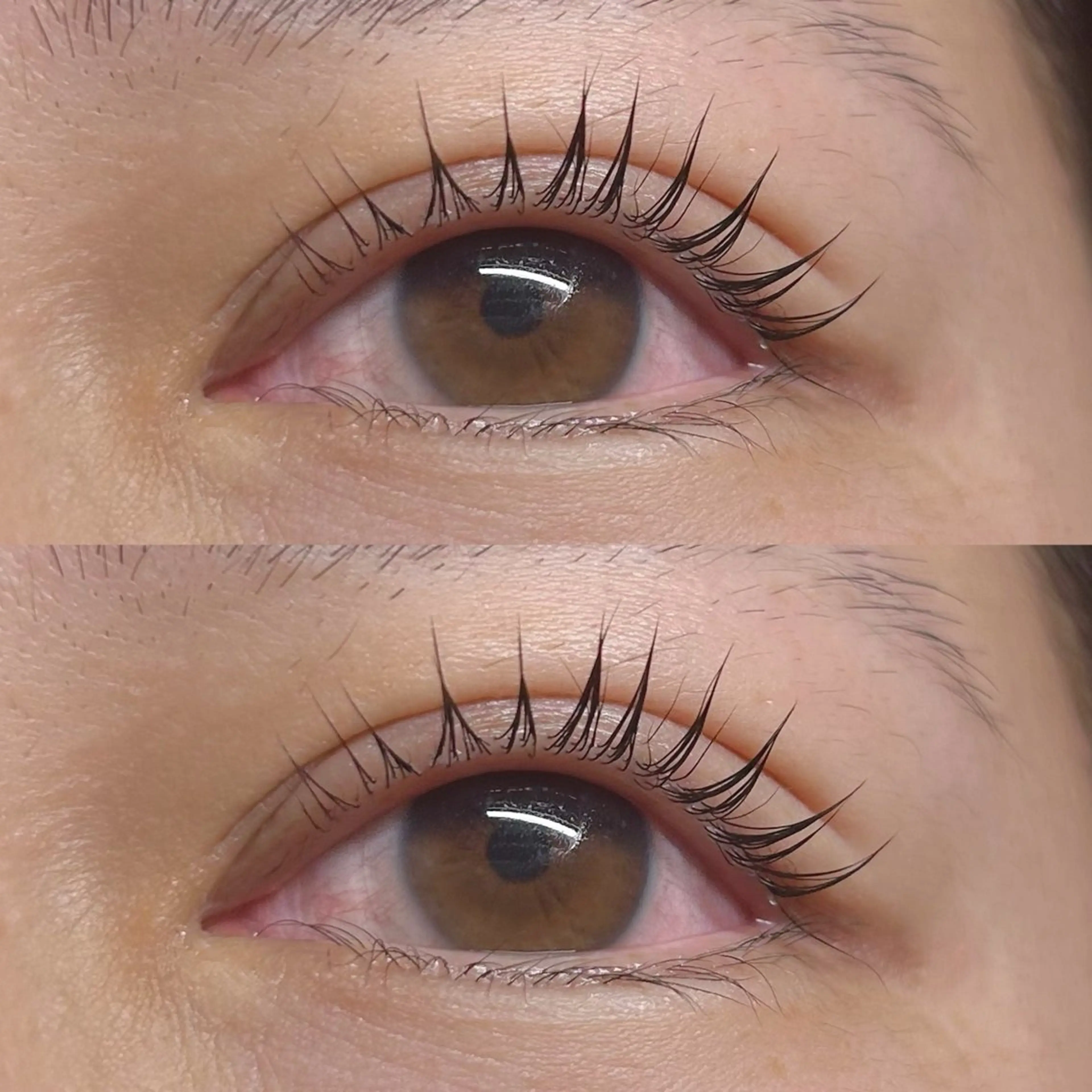 マツエク・マツパ マツパ Rise 🎀のマツエク・マツパデザイン