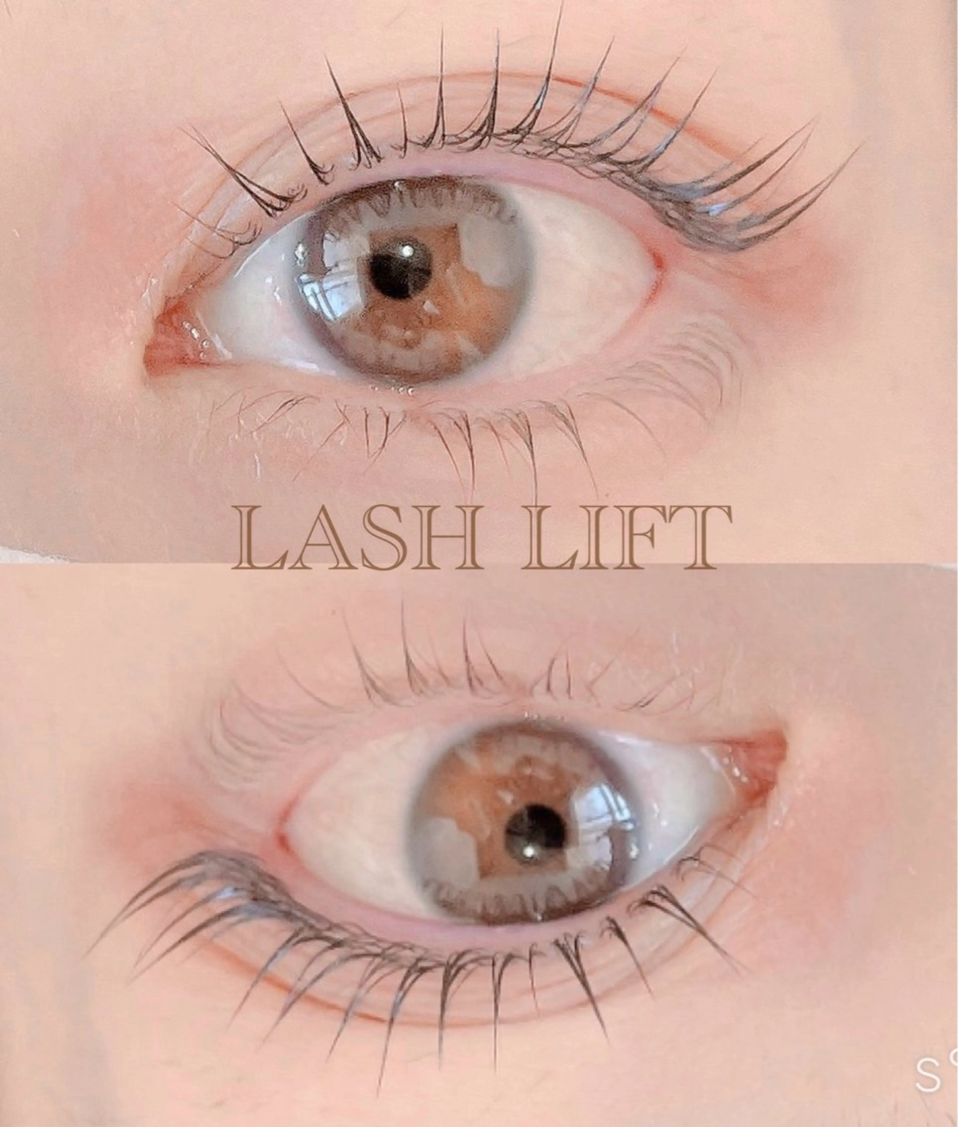 L３リフト・（上）次世代まつ毛パーマeyeシート・eyeシャンプー・高濃度美容液コーティング仕上げの写真