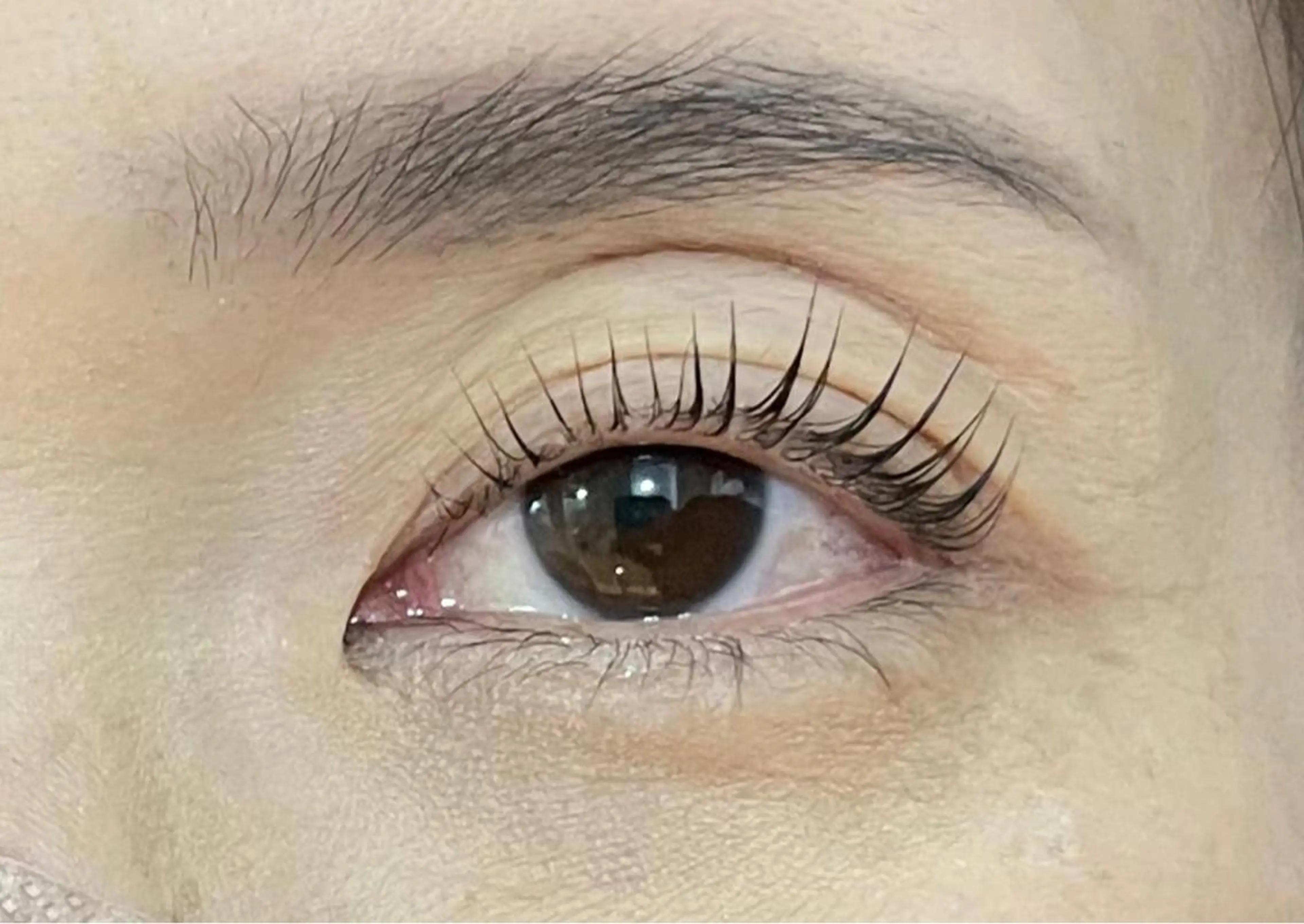 マツエク・マツパ マリーテレジア 🌻RUKAのマツエク・マツパデザイン