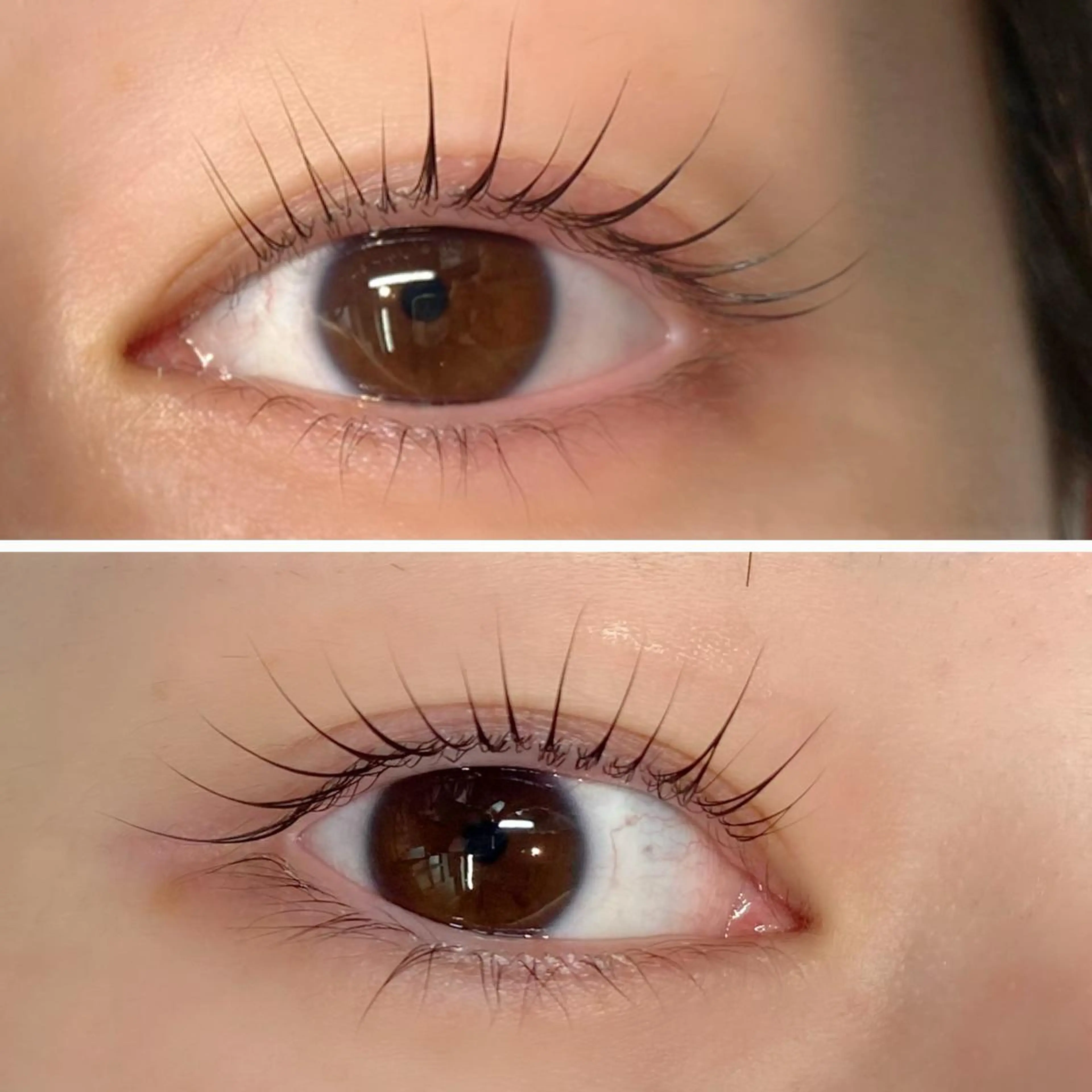 期間限定‼️上下まつ毛パーマ👀🌟の写真