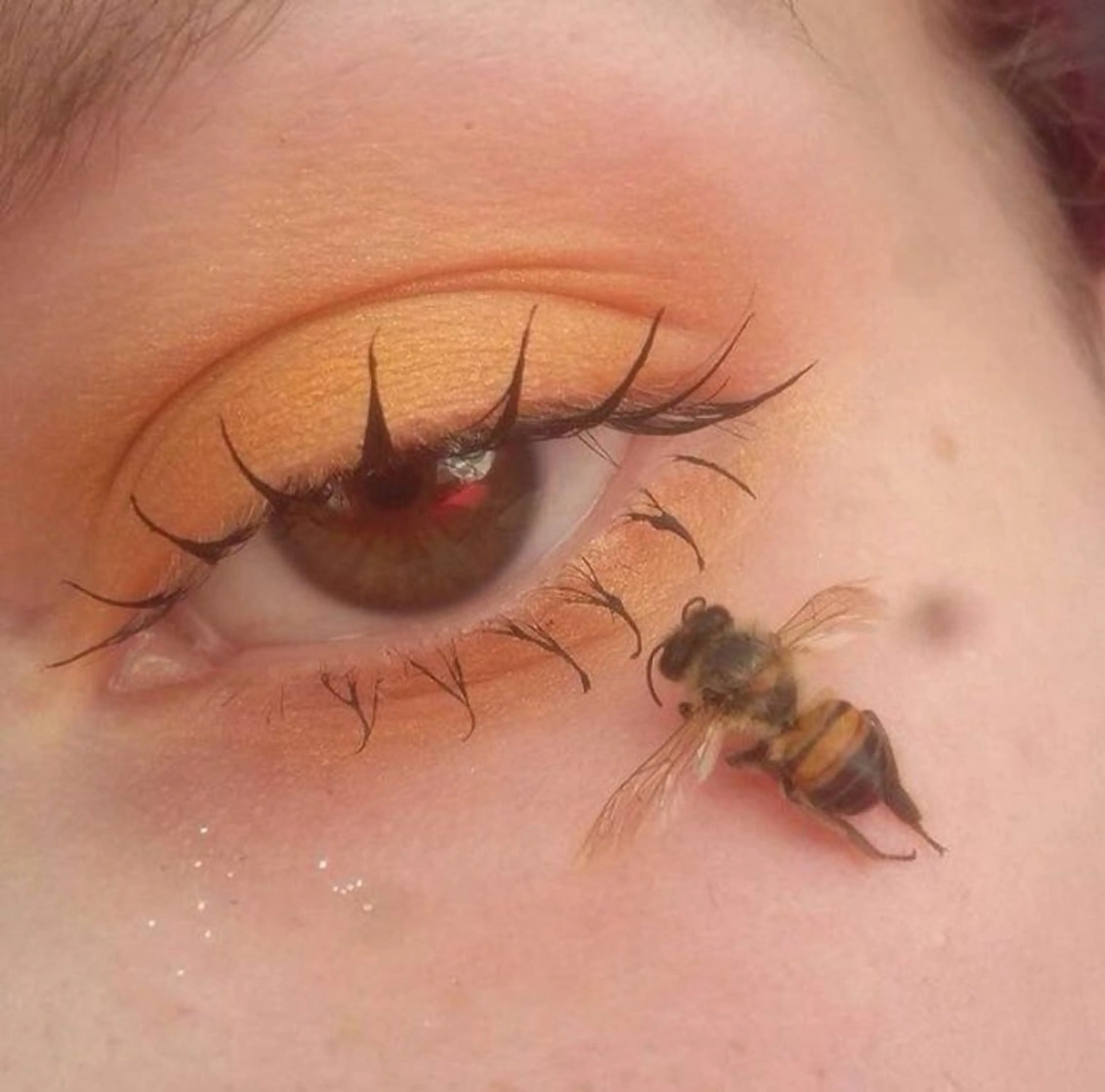 マツエク・マツパ マツパ unチーフアイリスト 宮澤♡韓国風🇰🇷のマツエク・マツパデザイン