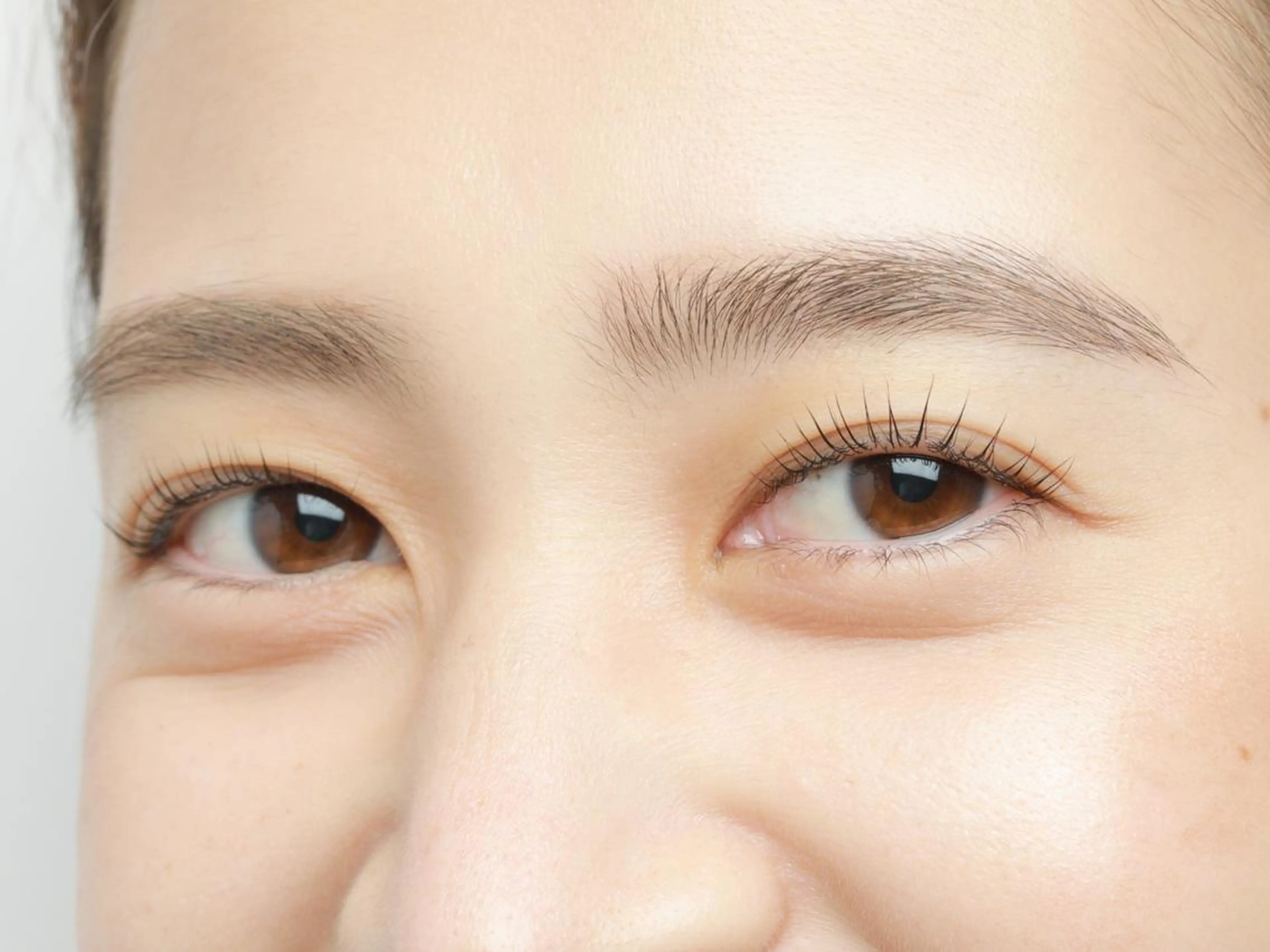 カールデザイン相談可◎エレガントリフトカール(まつげパーマ)の写真