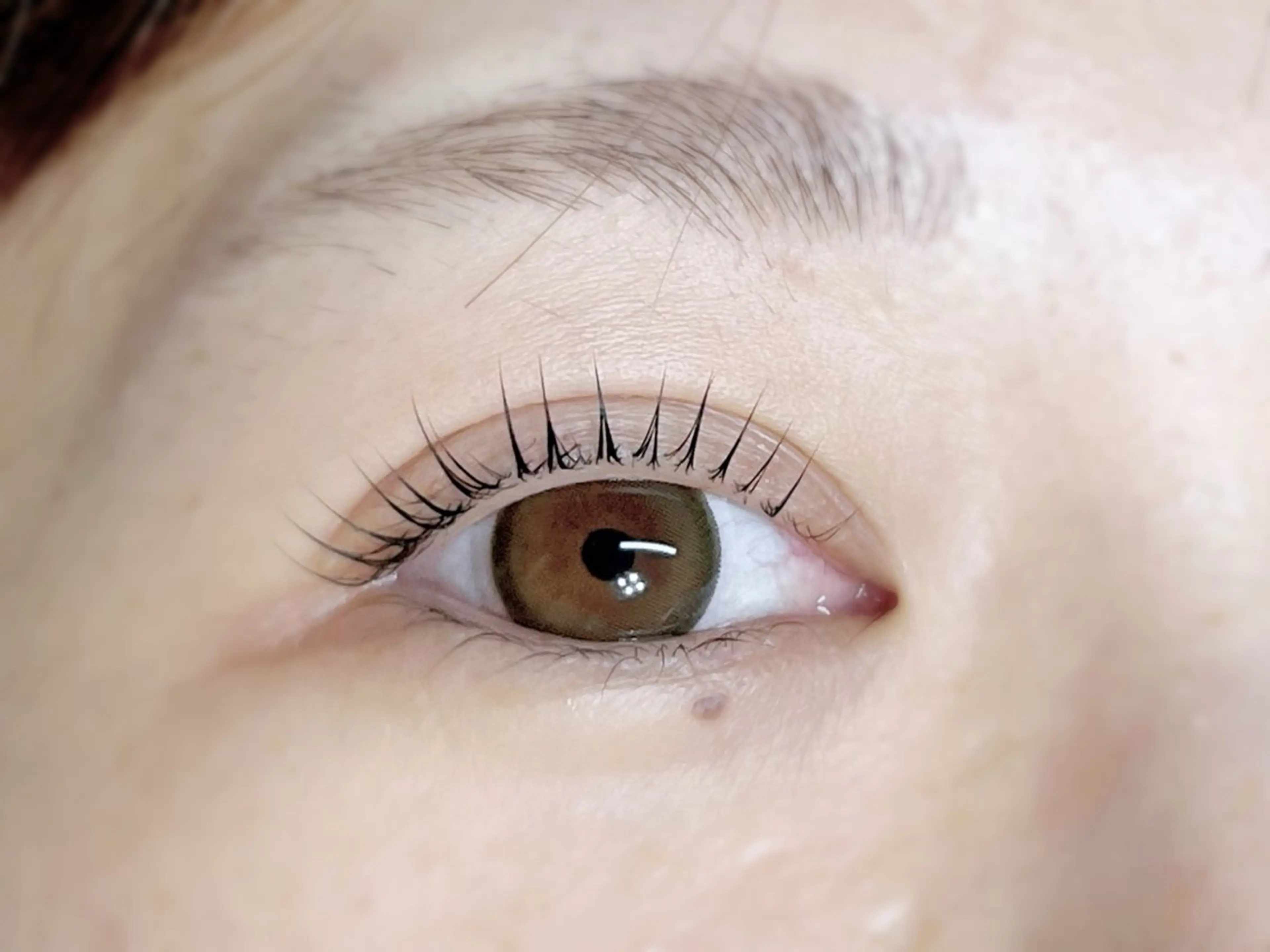 マツエク・マツパ マツパ 束感マツエクが人気✩ sachiのマツエク・マツパデザイン