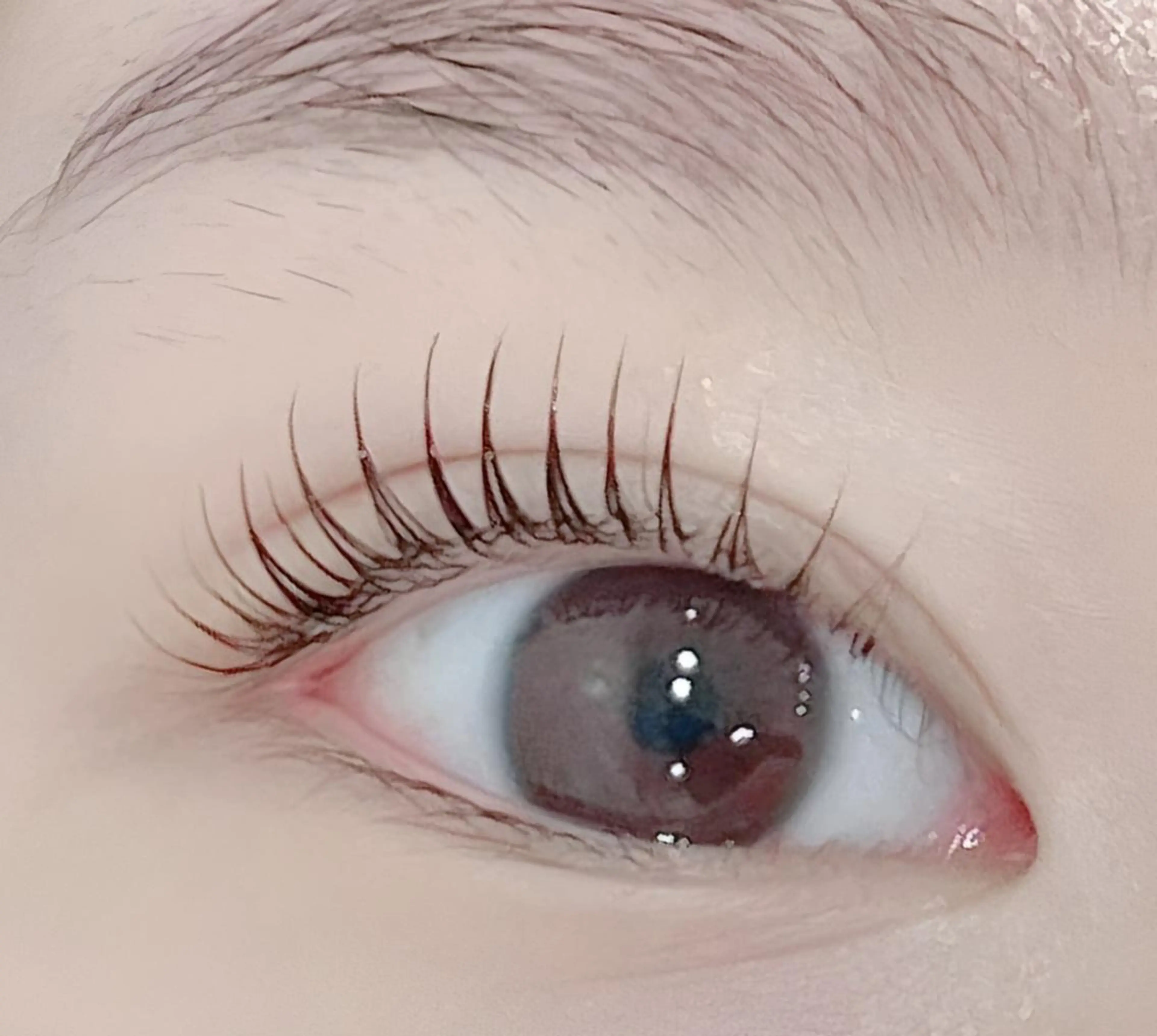 【平日～17時】新規*ラッシュリ フト上キロッド20種類・美容液付 施術時間45分前後※17時以降 or土日祝+¥500の写真