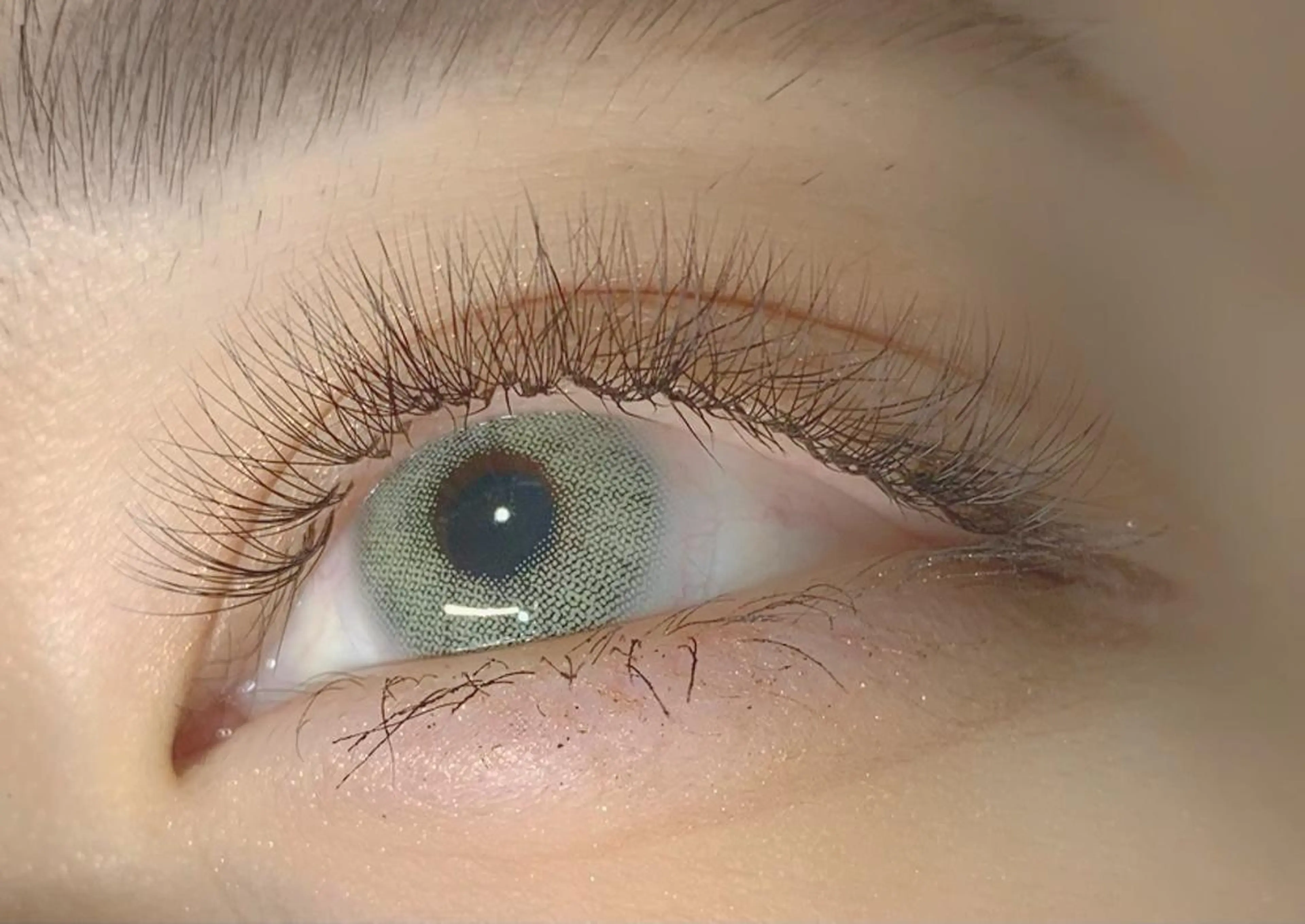 マツエク・マツパ Luana所属・🕊 Luana 🌷︎の眉毛・アイブロウイメージ