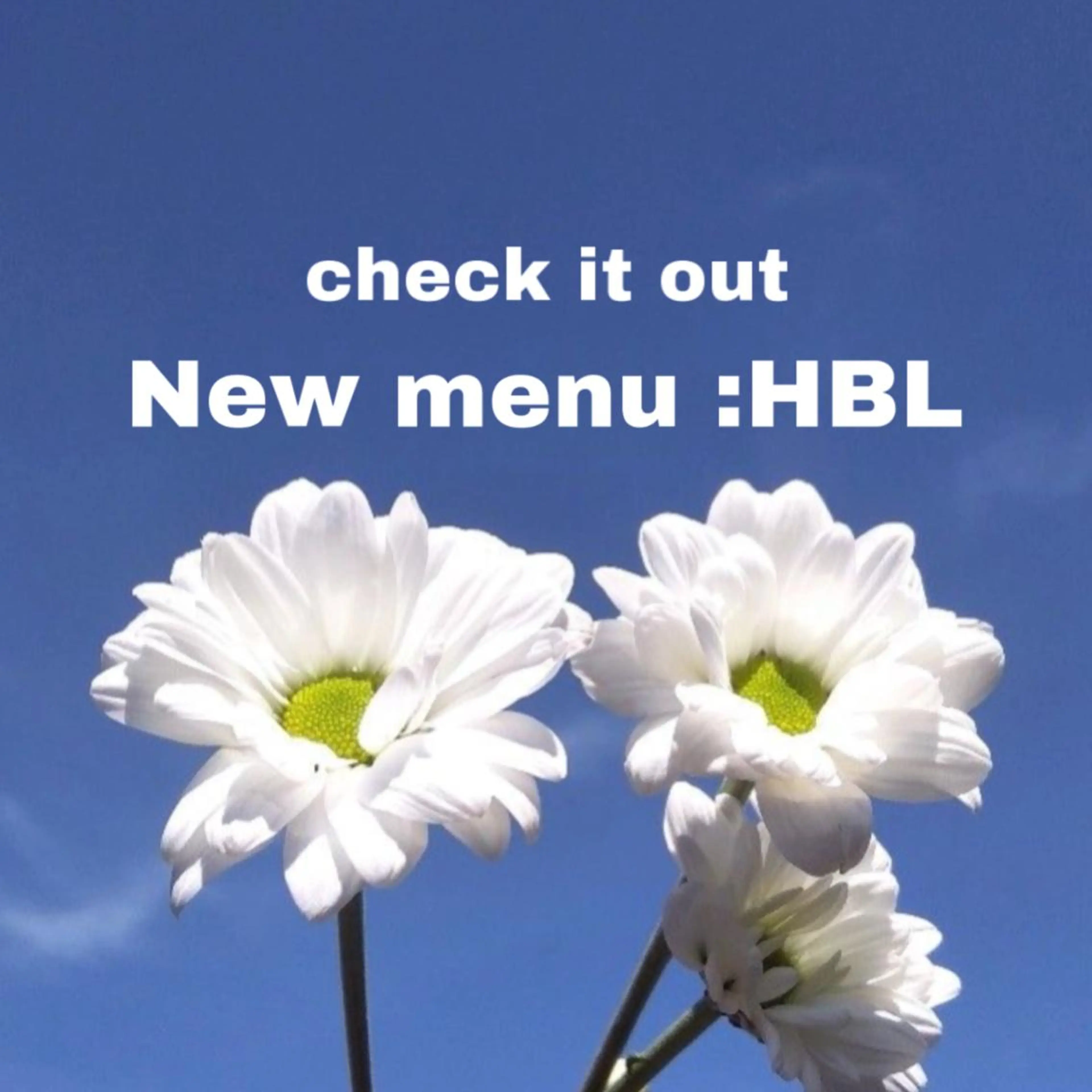 アイブロウ ワックス脱毛 眉カット その他(アイブロウ) ブリーチ・ツヤ髪特化 レイヤー🥝ルナのヘアスタイル