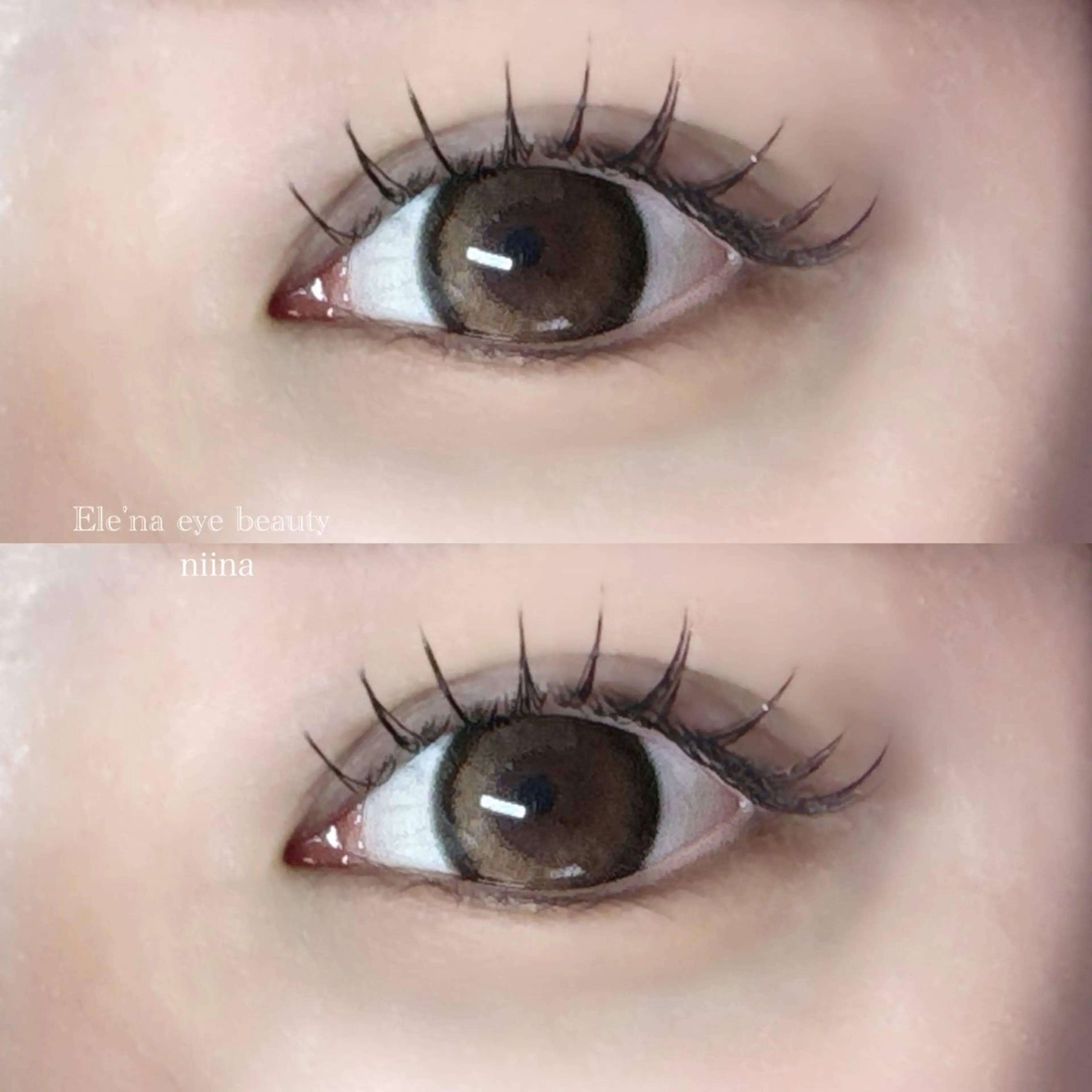 持続力UP❤️‍🔥バインドロック80束(オフ無料)❤️‍🔥濃い印象のまつ毛に!!の写真