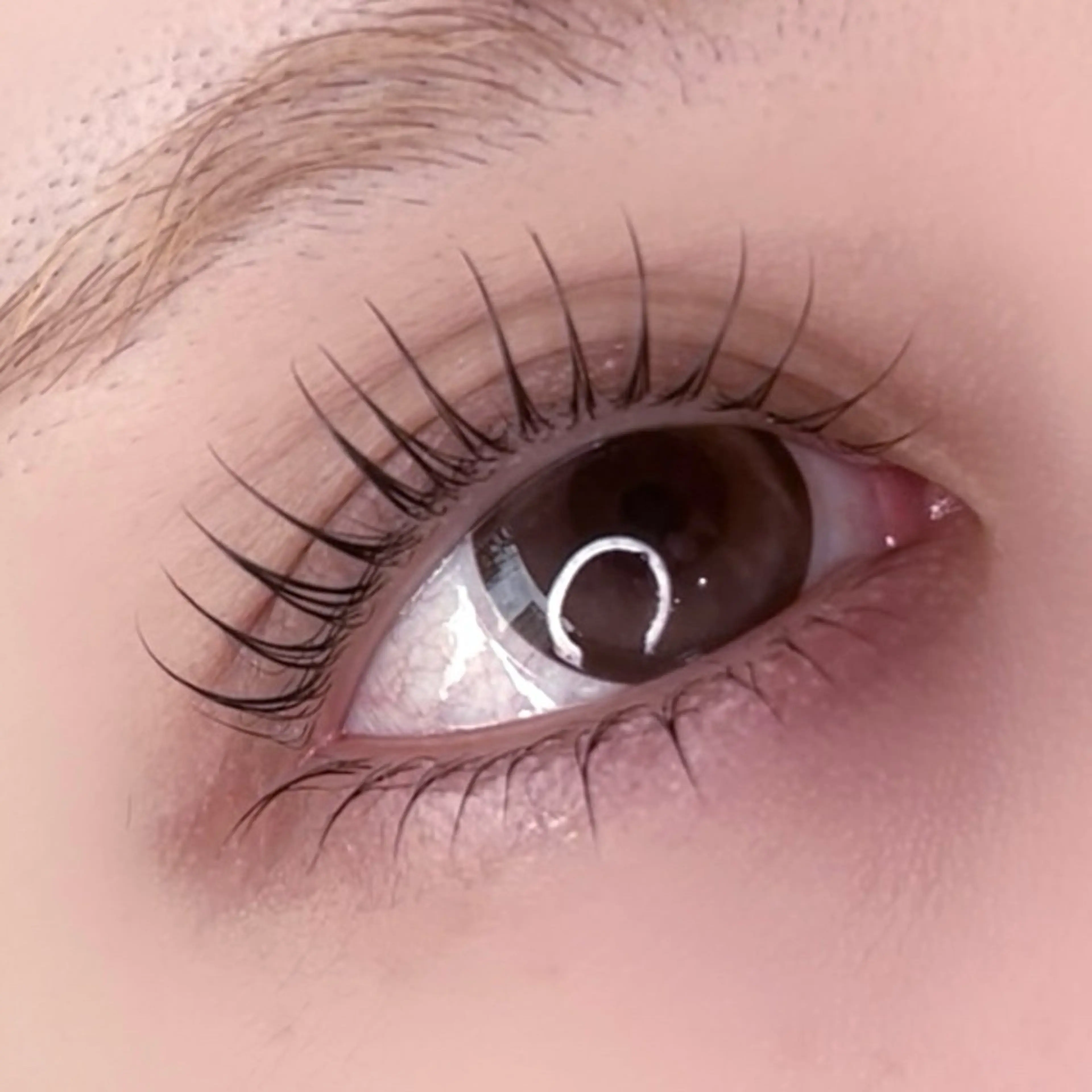 マツエク・マツパ 下まつげエクステ amii ✩ 谷口のマツエク・マツパデザイン