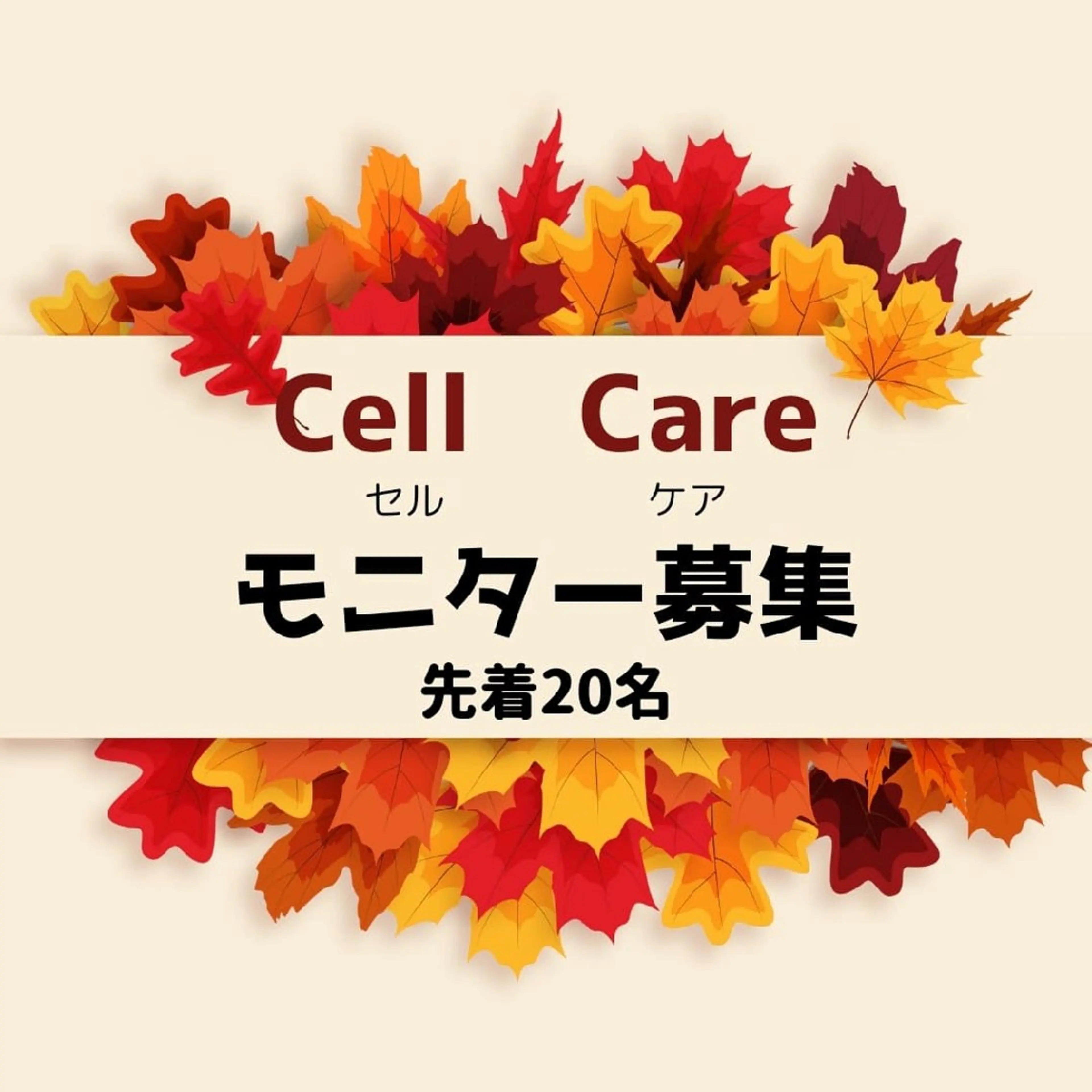 エステ MAXまつ毛&  フェイシャルのマツエク・マツパデザイン