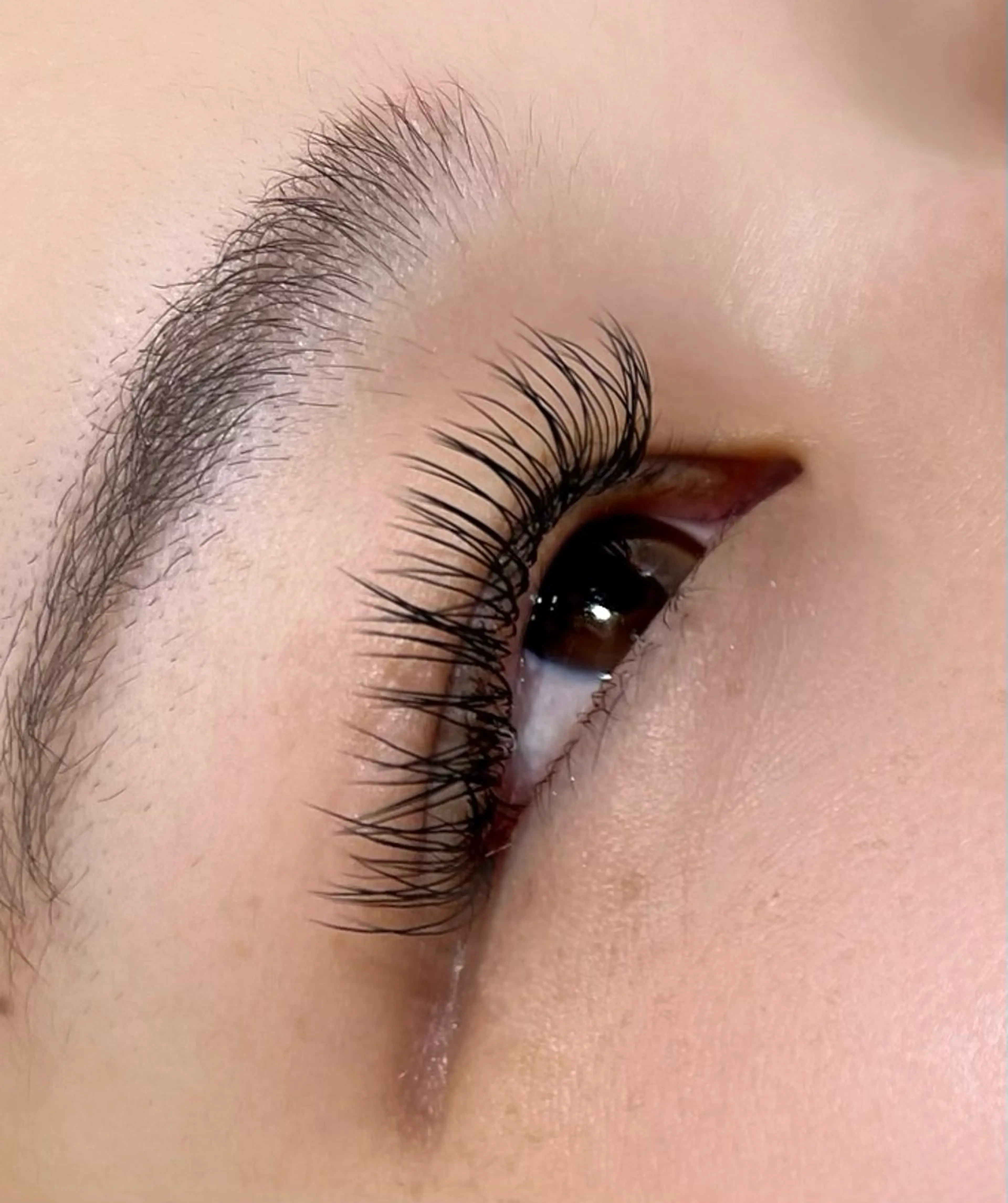 マツエク・マツパ フラットラッシュ T あかりのマツエク・マツパデザイン