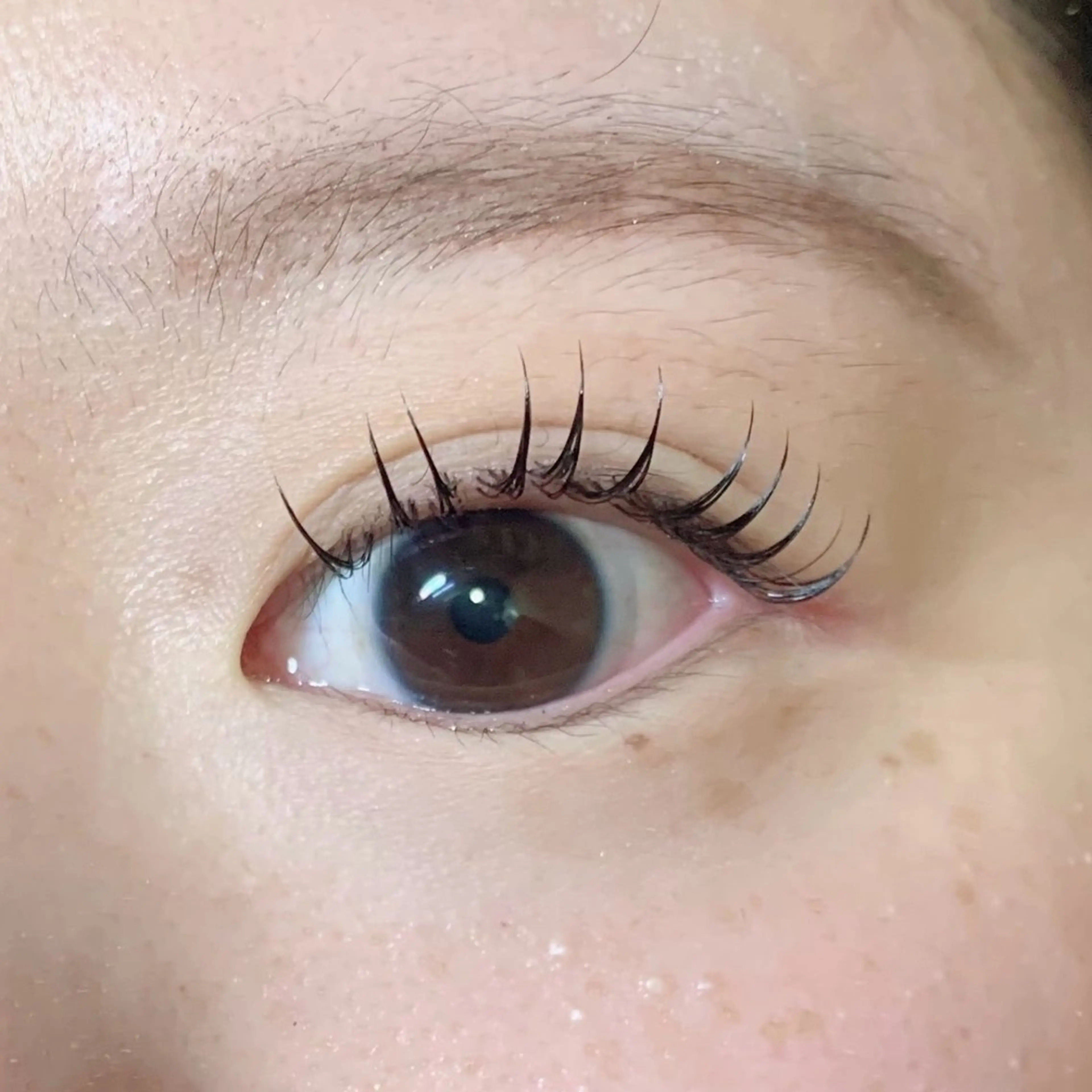 マツエク・マツパ マツエク Lino【リノ】所属・Lino♚﻿ MOMOKA💖のマツエク・マツパデザイン