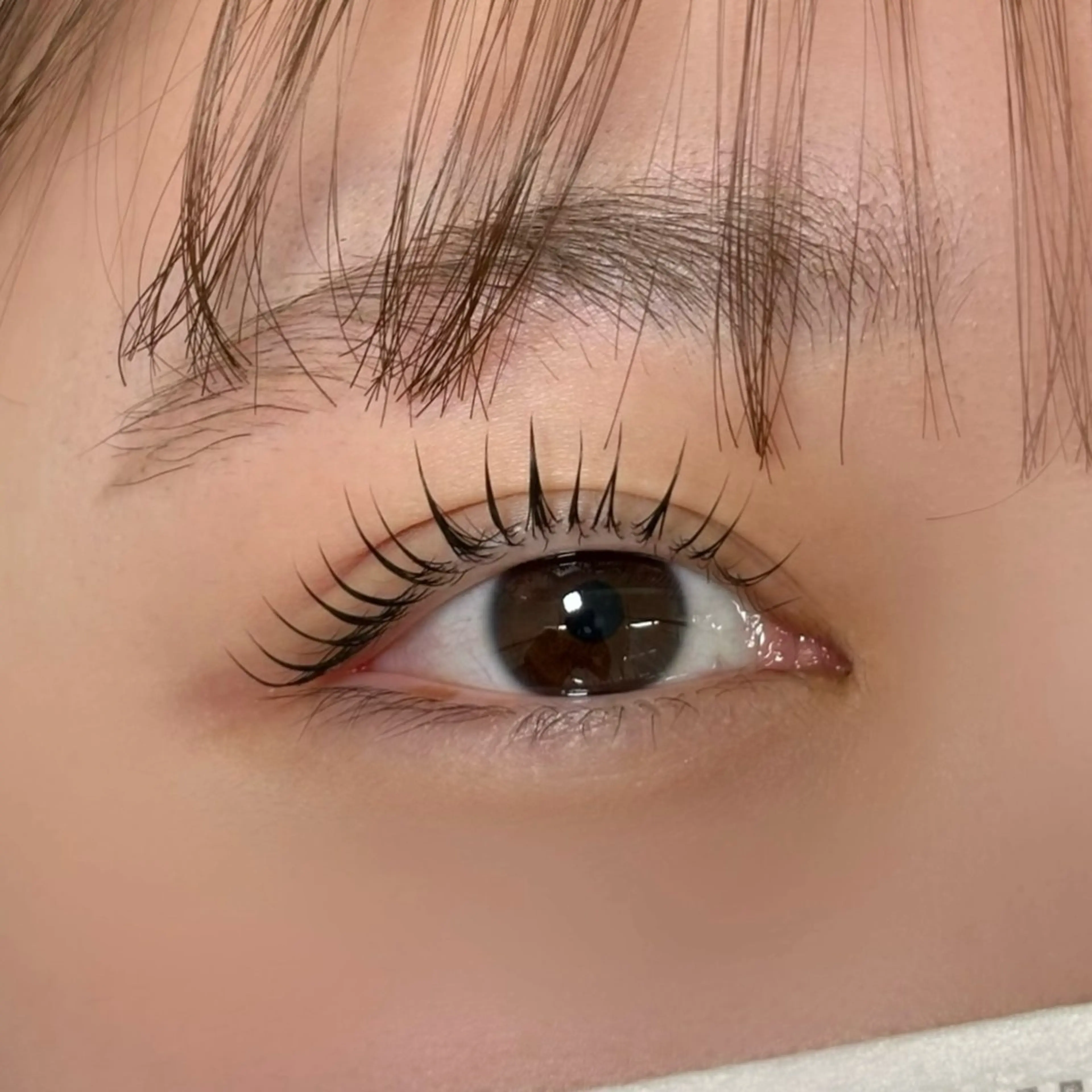 ケラチンラッシュリフト+コーティング仕上げの写真