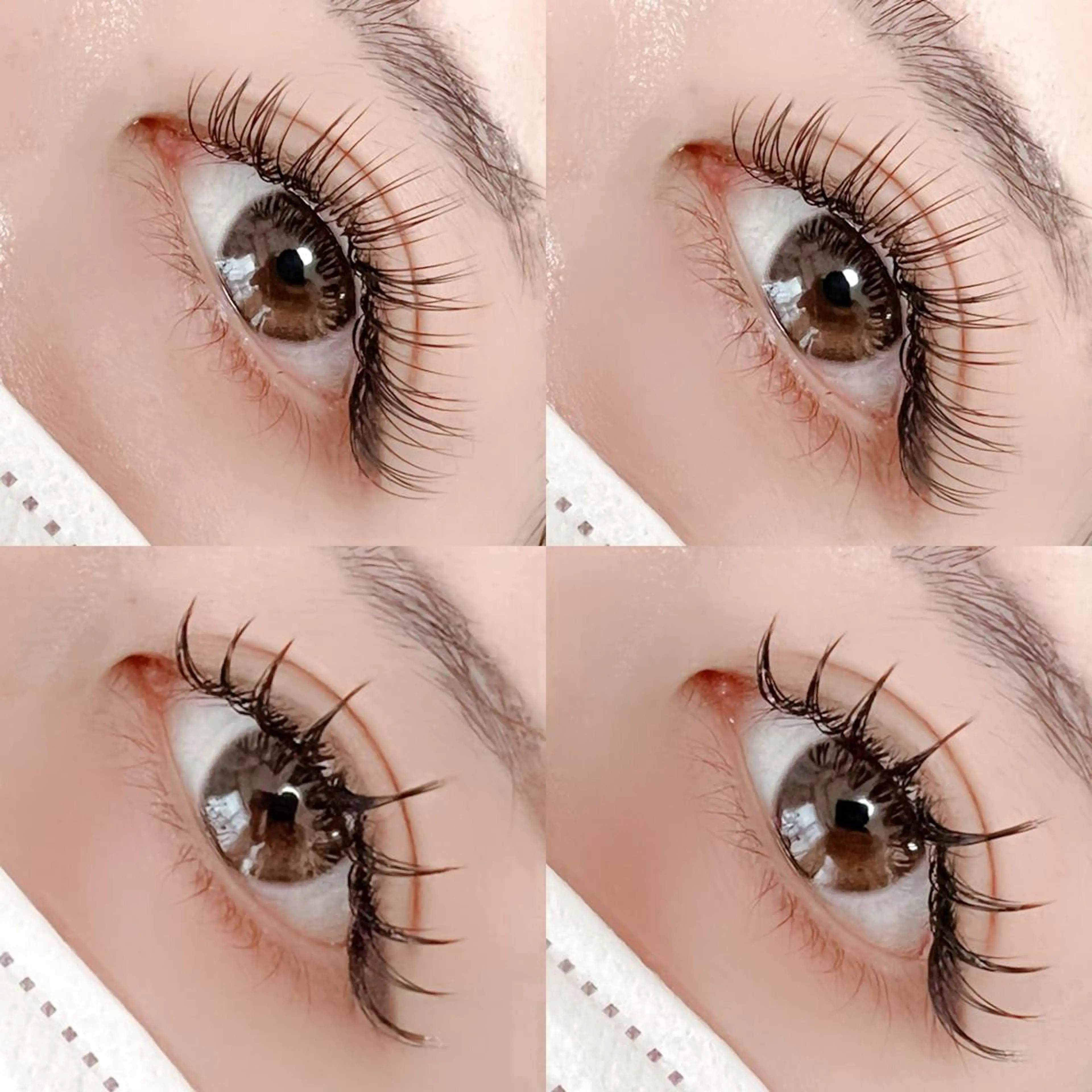 マツエク・マツパ マツエク 【那覇/束感まつ毛】 ｷｬﾒﾙのマツエク・マツパデザイン