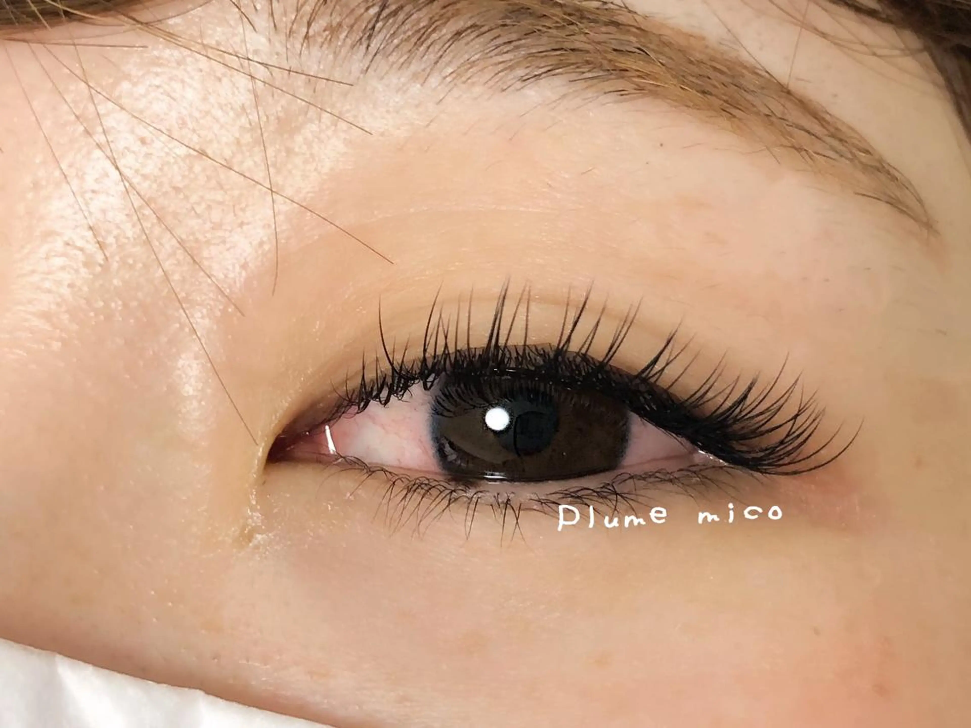 マツエク・マツパ マツエク Plume micoのマツエク・マツパデザイン