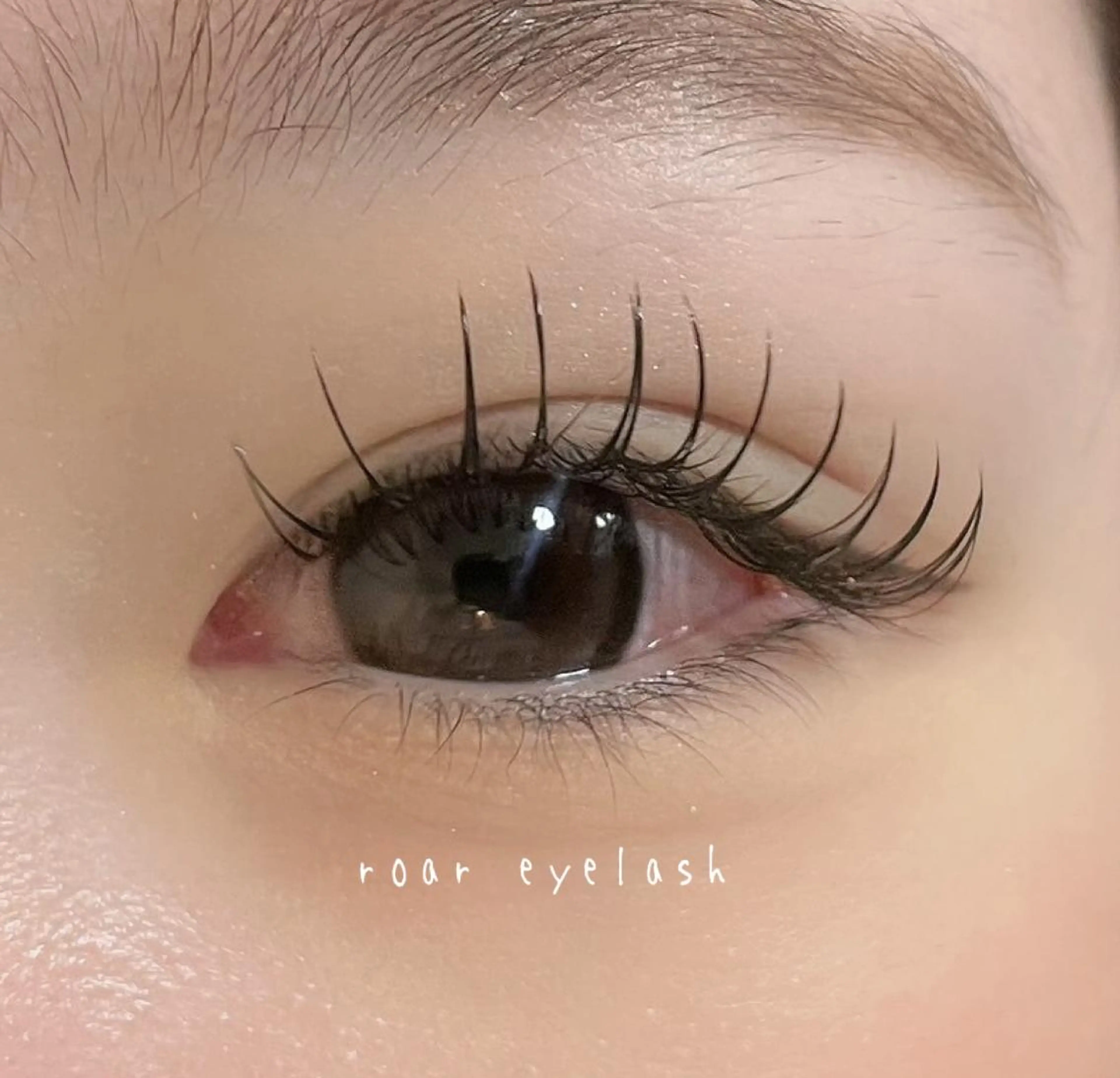 マツエク・マツパ ROAR🌹 eyelashのマツエク・マツパデザイン