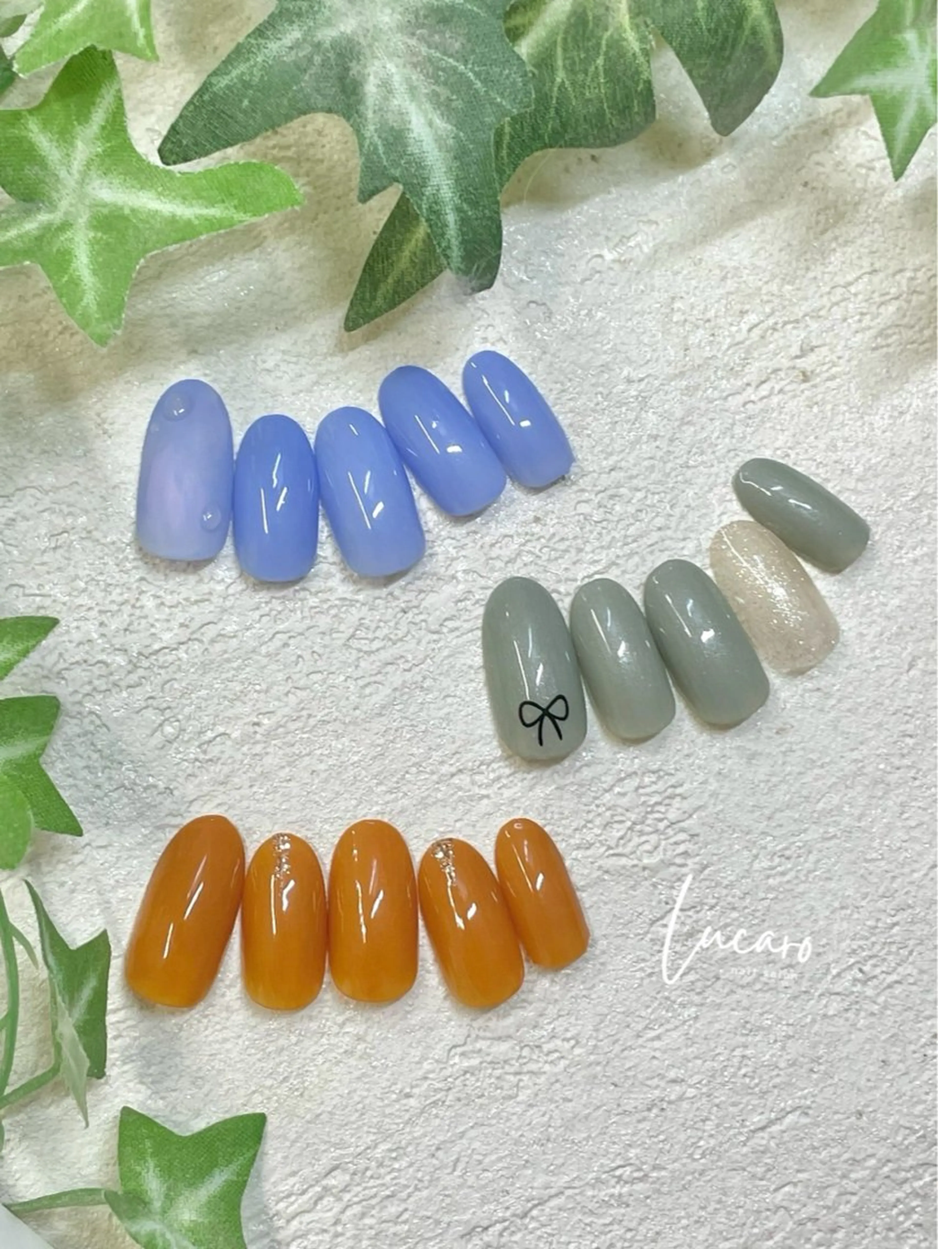 毎月変わる定額Bコースの写真