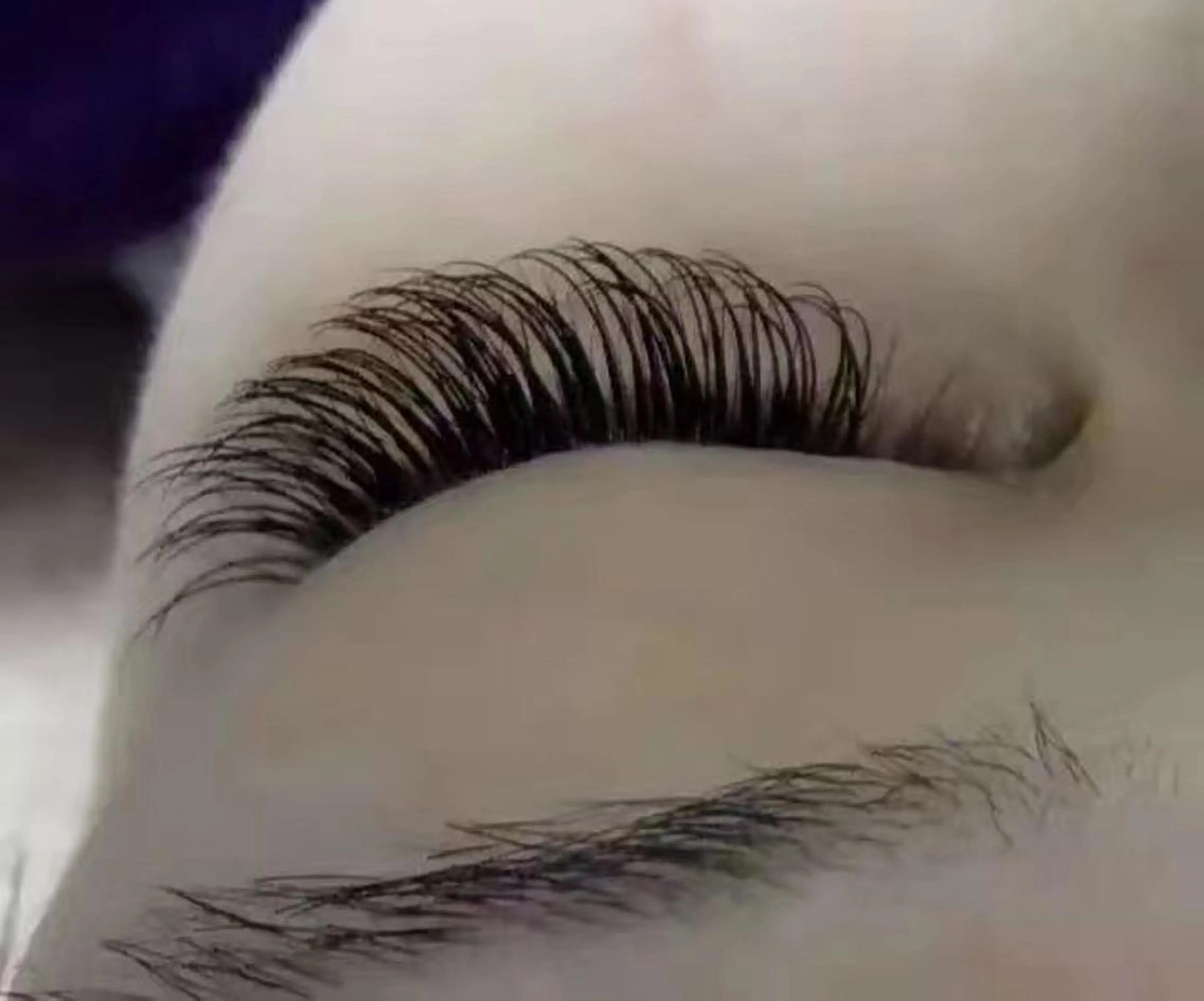 最高級ミンク80本の写真