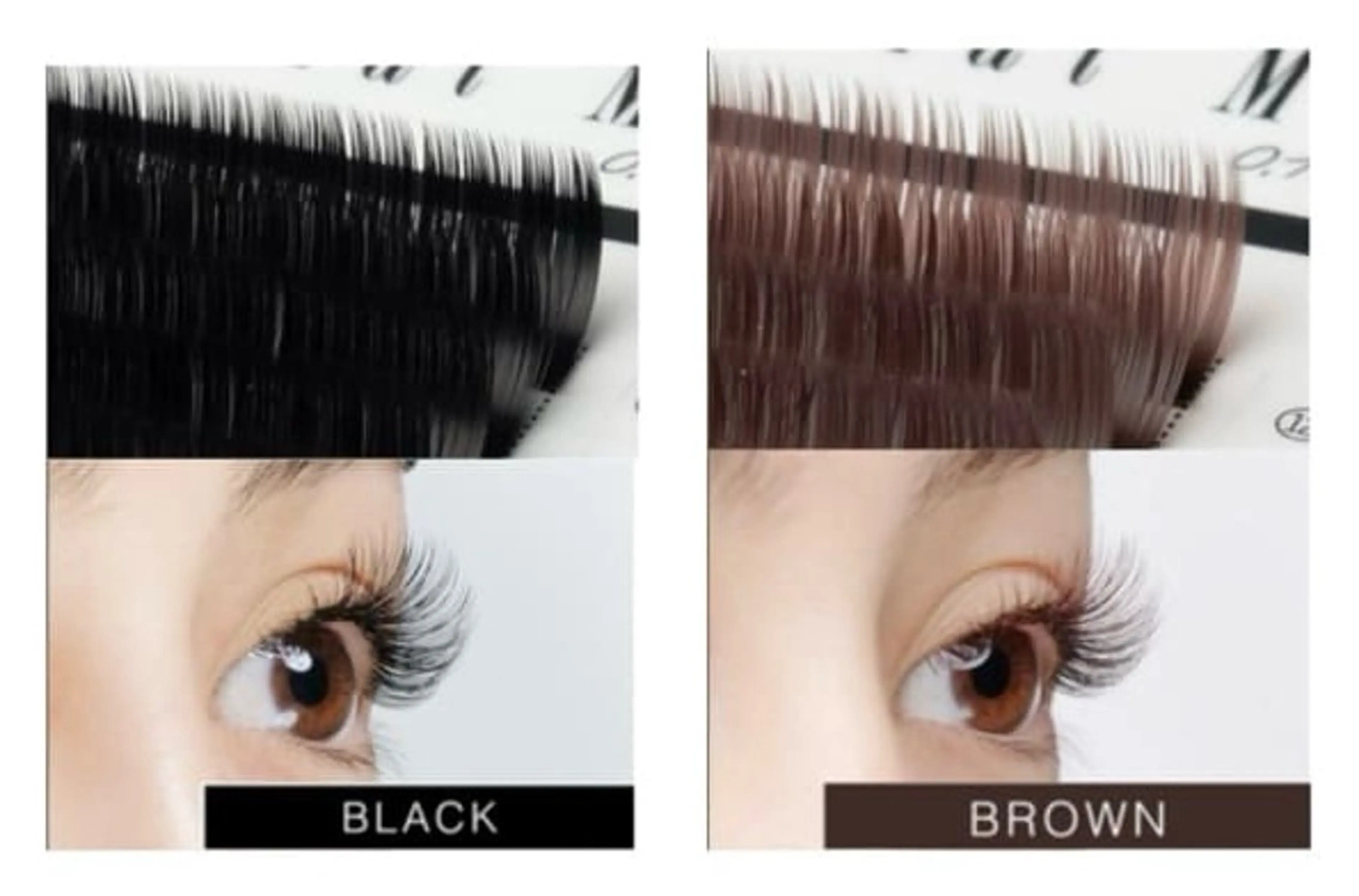 ãããšã¯ã»ããã ð§ððšð§æ°å®¿ â€ïžðð²ðã®ãããšã¯ã»ããããã¶ã€ã³