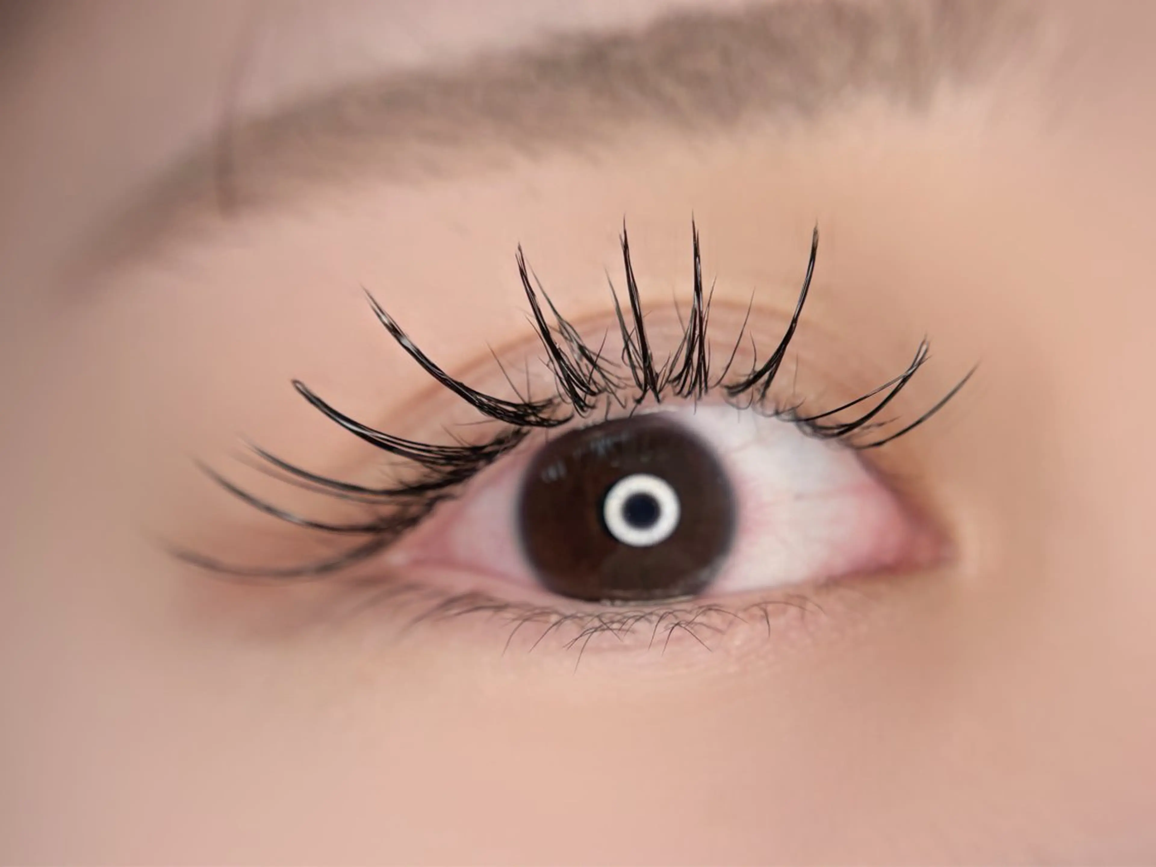 マツエク・マツパ 束感まつ毛 アップワードラッシュ マツエク 🦋MaaZlash 南流山FUKA🤍のマツエク・マツパデザイン