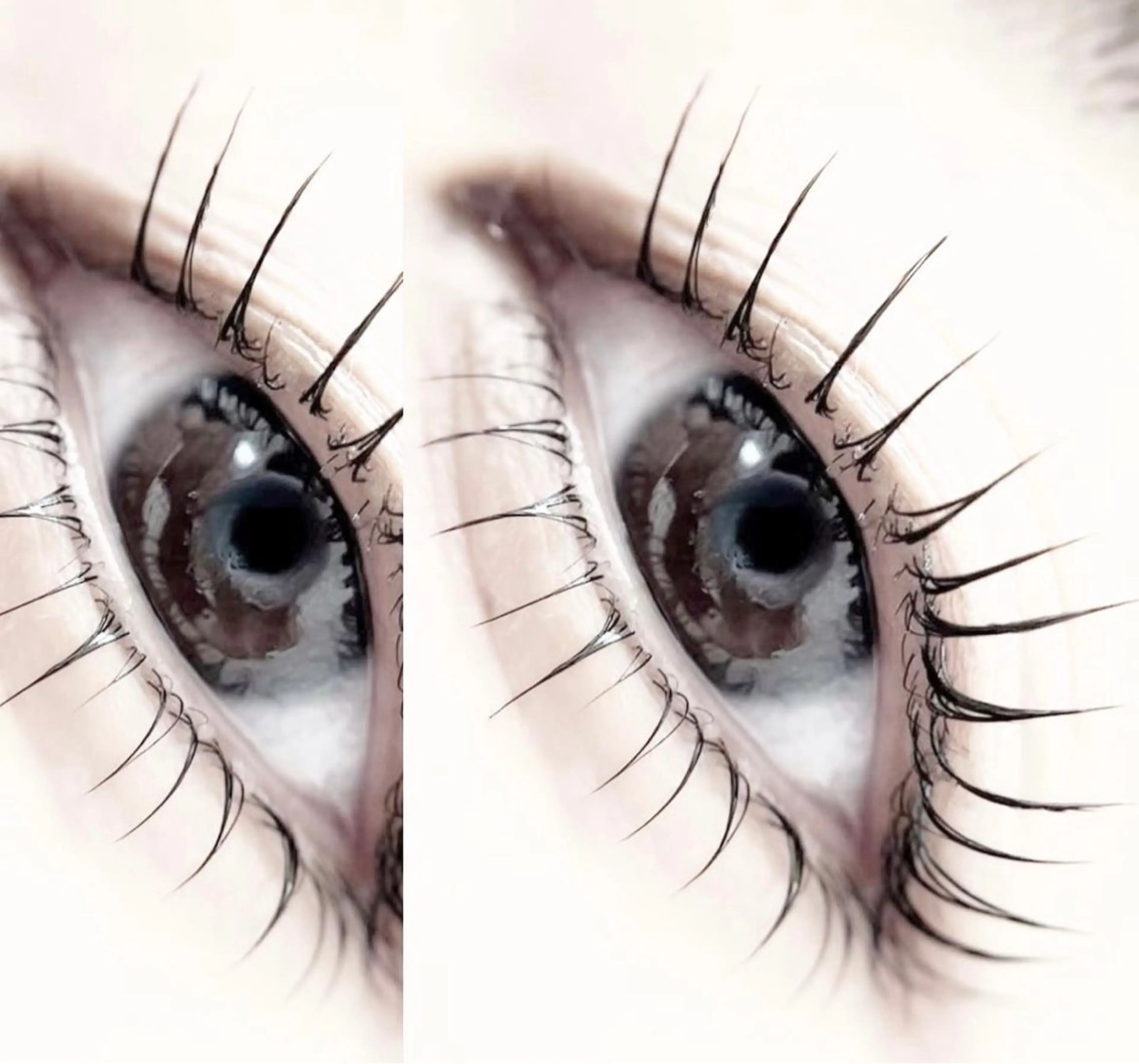 マツエク・マツパ M.LASH 🤍rinoの眉毛・アイブロウイメージ