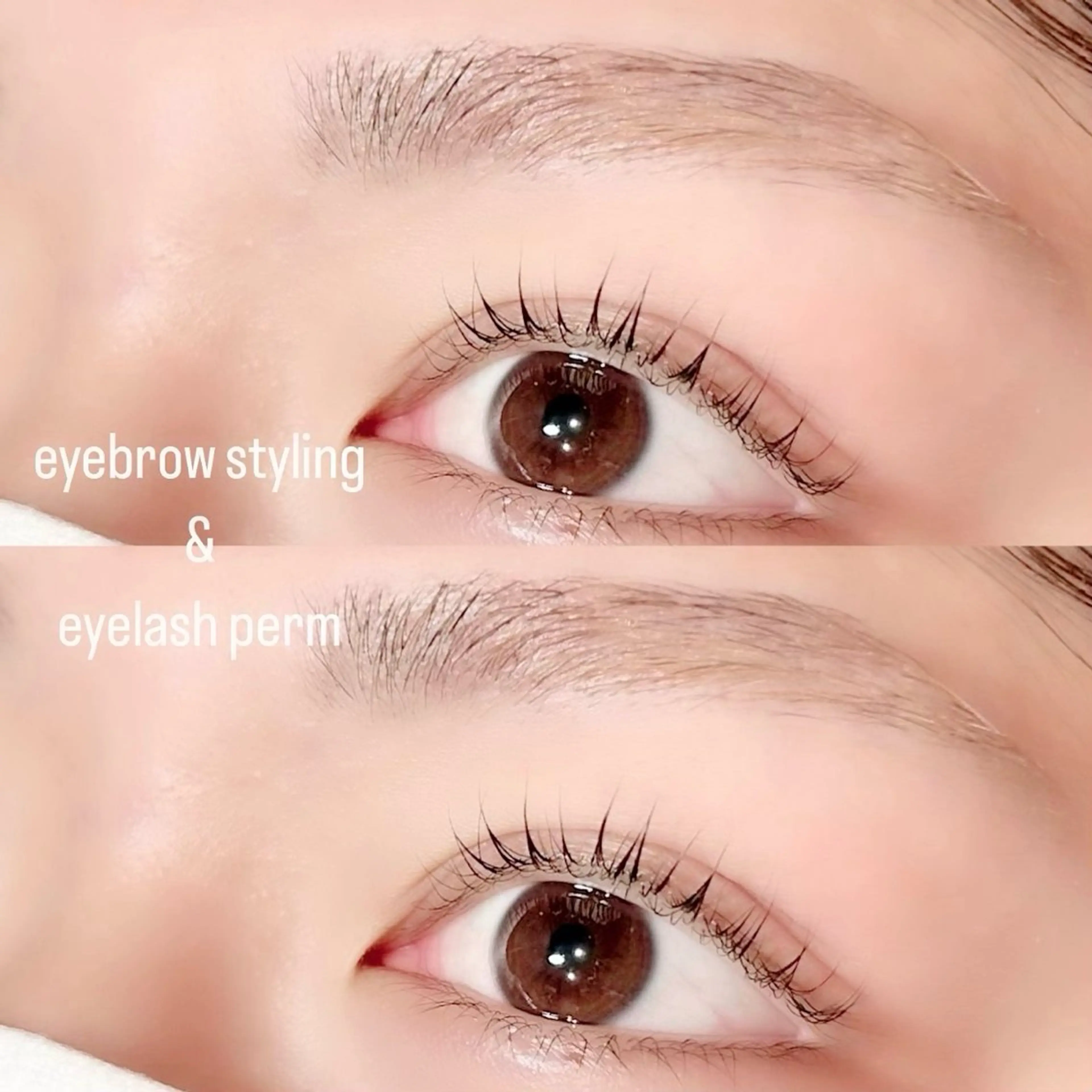 マツエク・マツパ まつげパーマ マツパ Stella 中島のマツエク・マツパデザイン