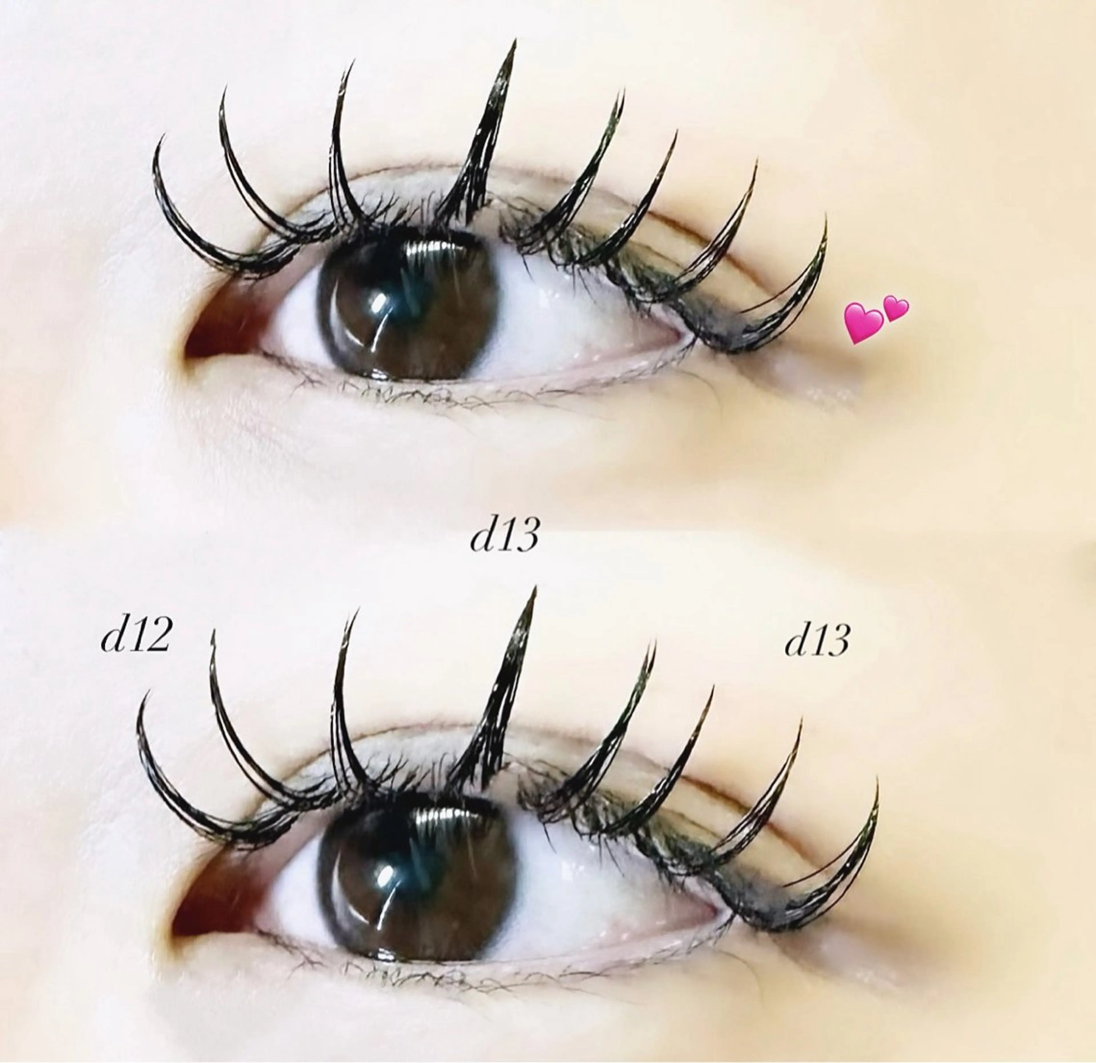 🌿ダブルフラット120束(240本)の写真