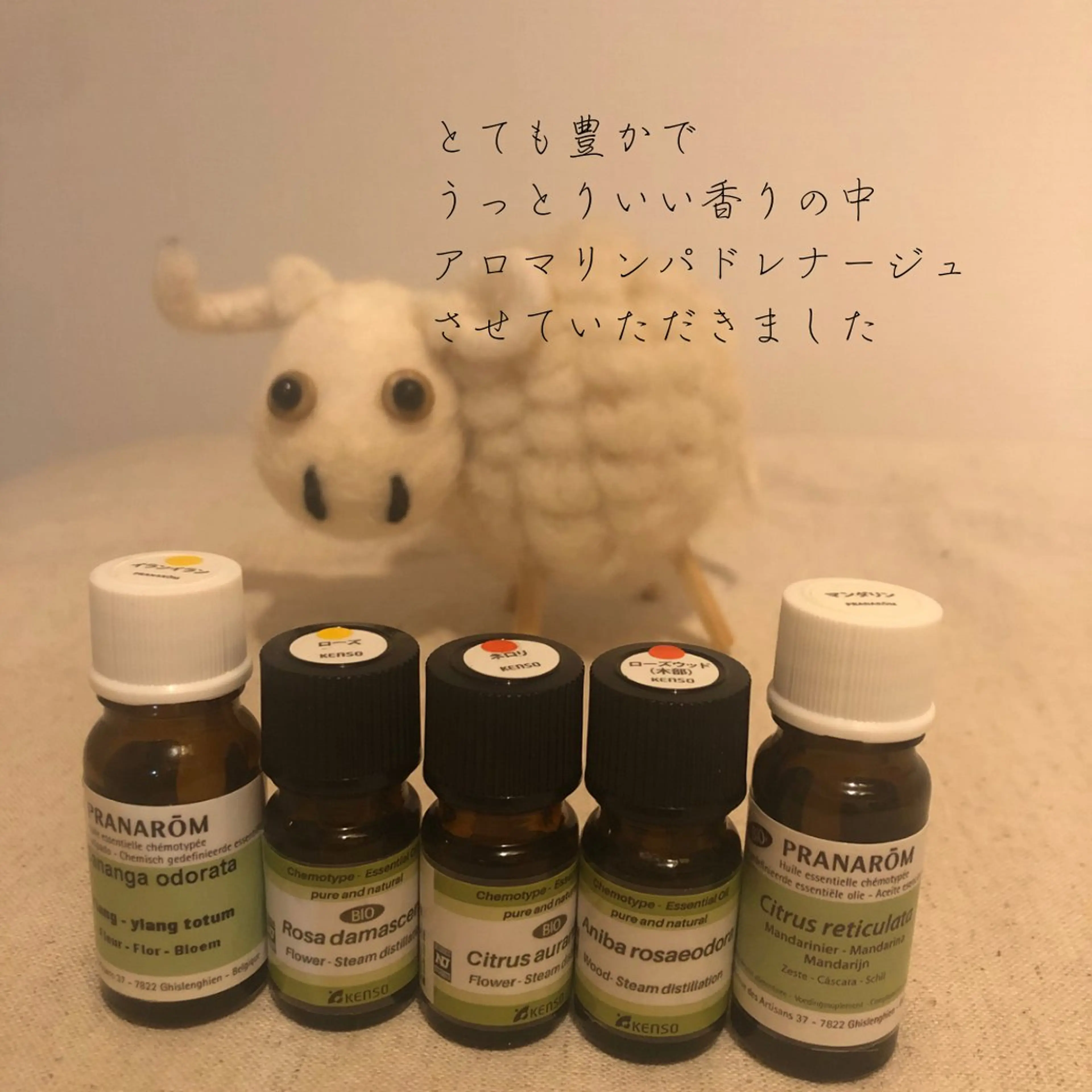 大久保 わ子のエステ・リラクイメージ