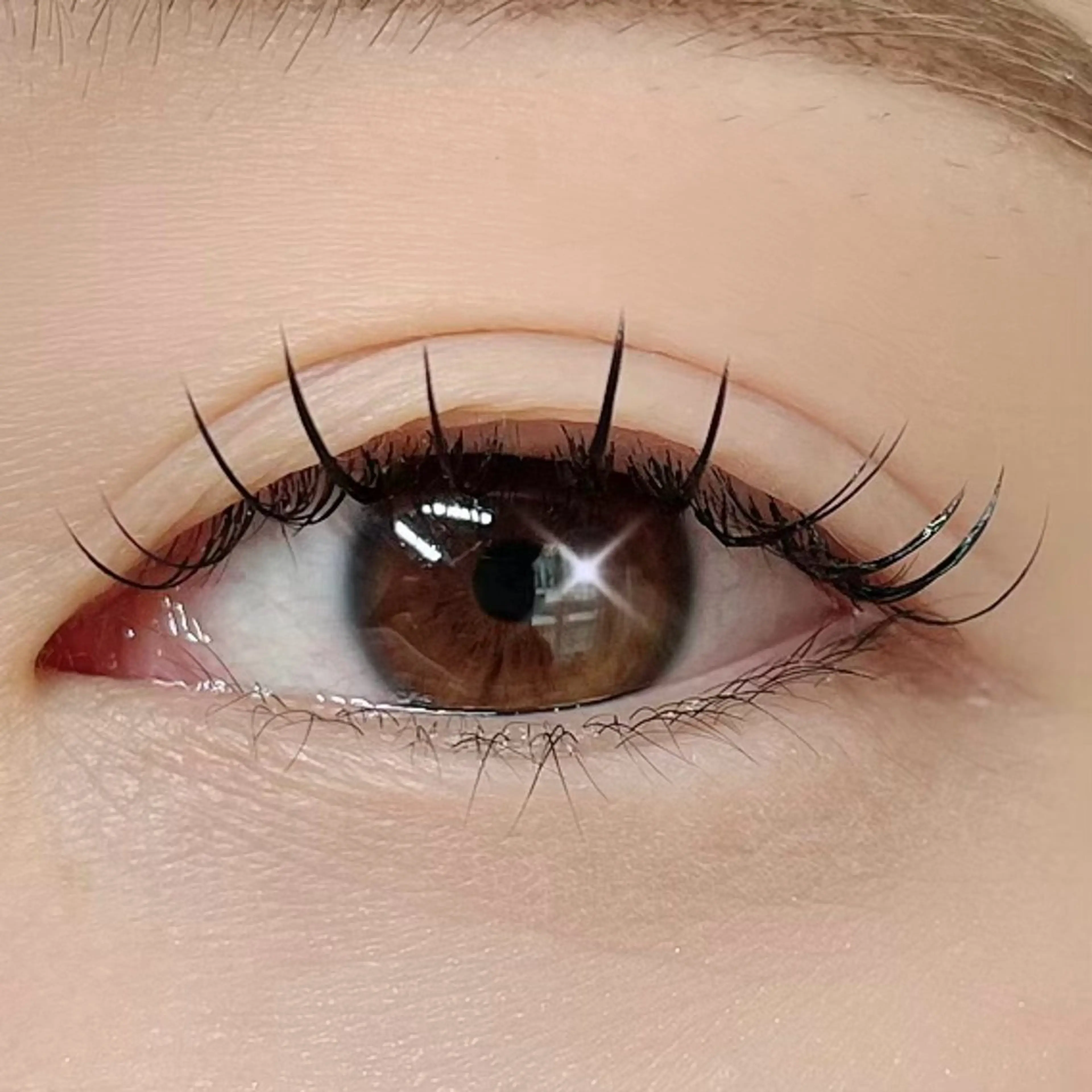 マツエク・マツパ 束感まつ毛 フラットラッシュ lrie ／  moeのマツエク・マツパデザイン