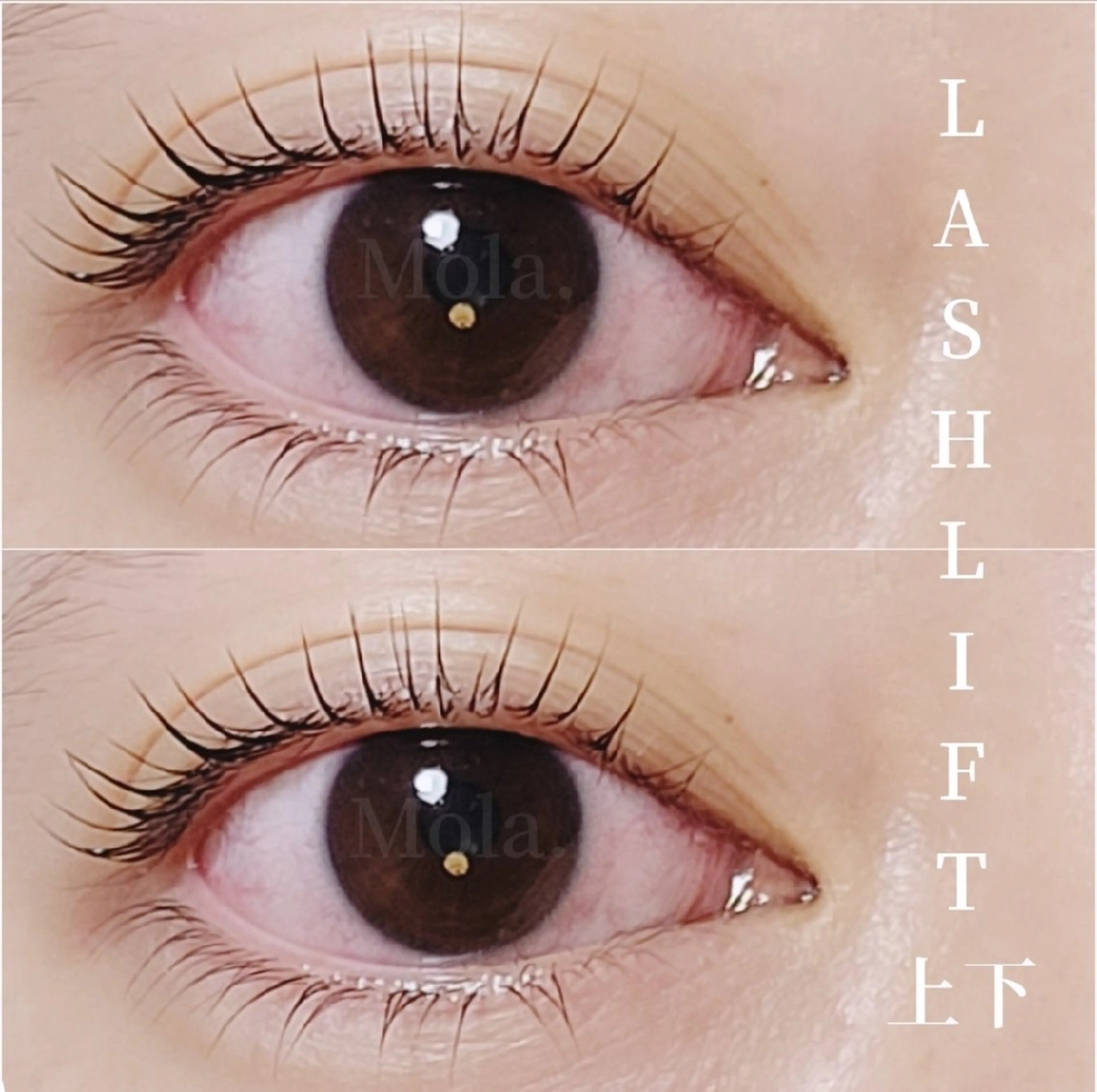 LASH LIFTまつ毛パーマ 上下の写真