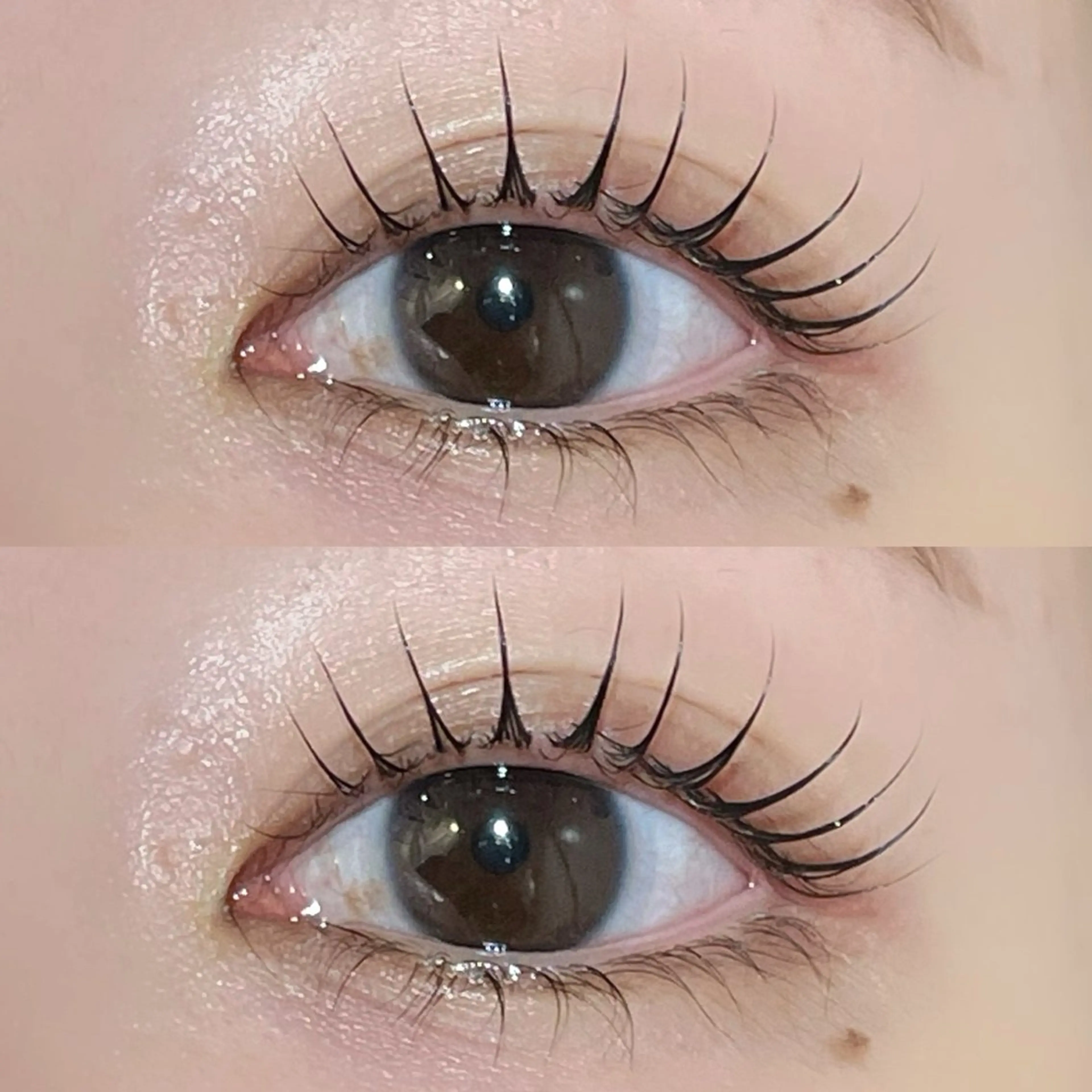 《12月、1月限定🎅🏻⭐️》【ラッシュアディクト美容液プレゼント付き💖】minimo限定🌷上まつ毛パーマの写真