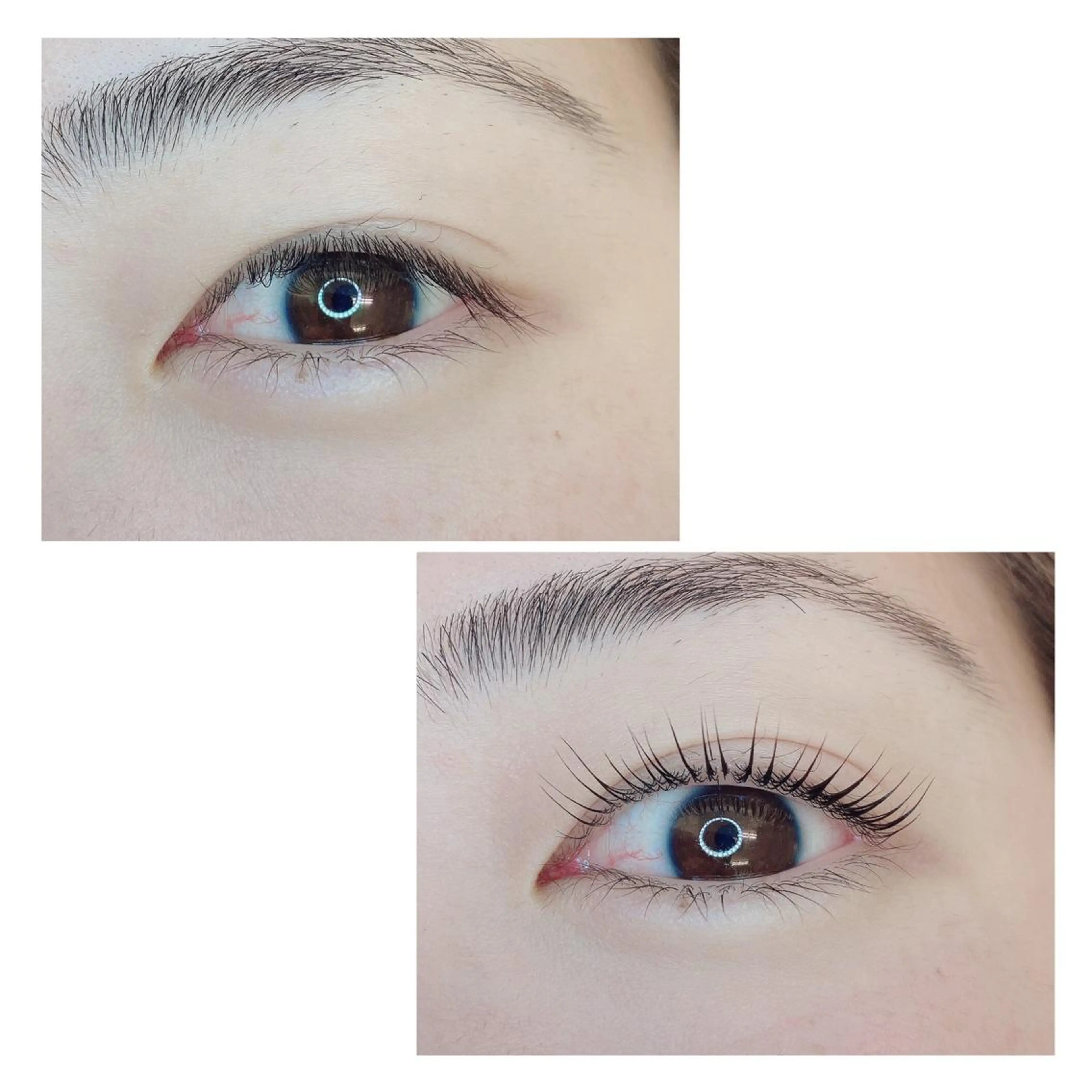 マツエク・マツパ TIARA池袋西口店 店長YASUKA💐のマツエク・マツパデザイン