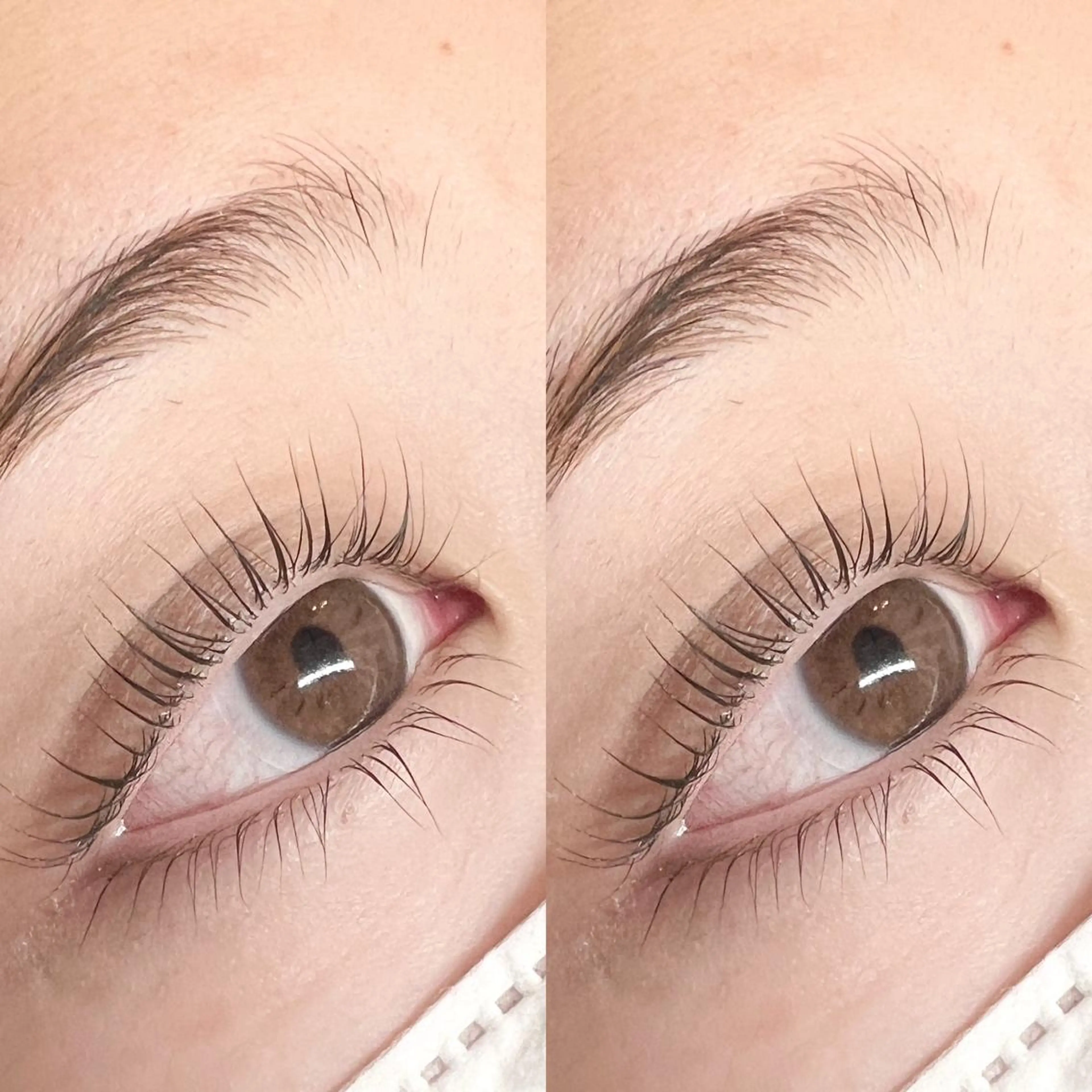 マツエク・マツパ パリジェンヌラッシュリフト マティーニ AYAKAの眉毛・アイブロウイメージ