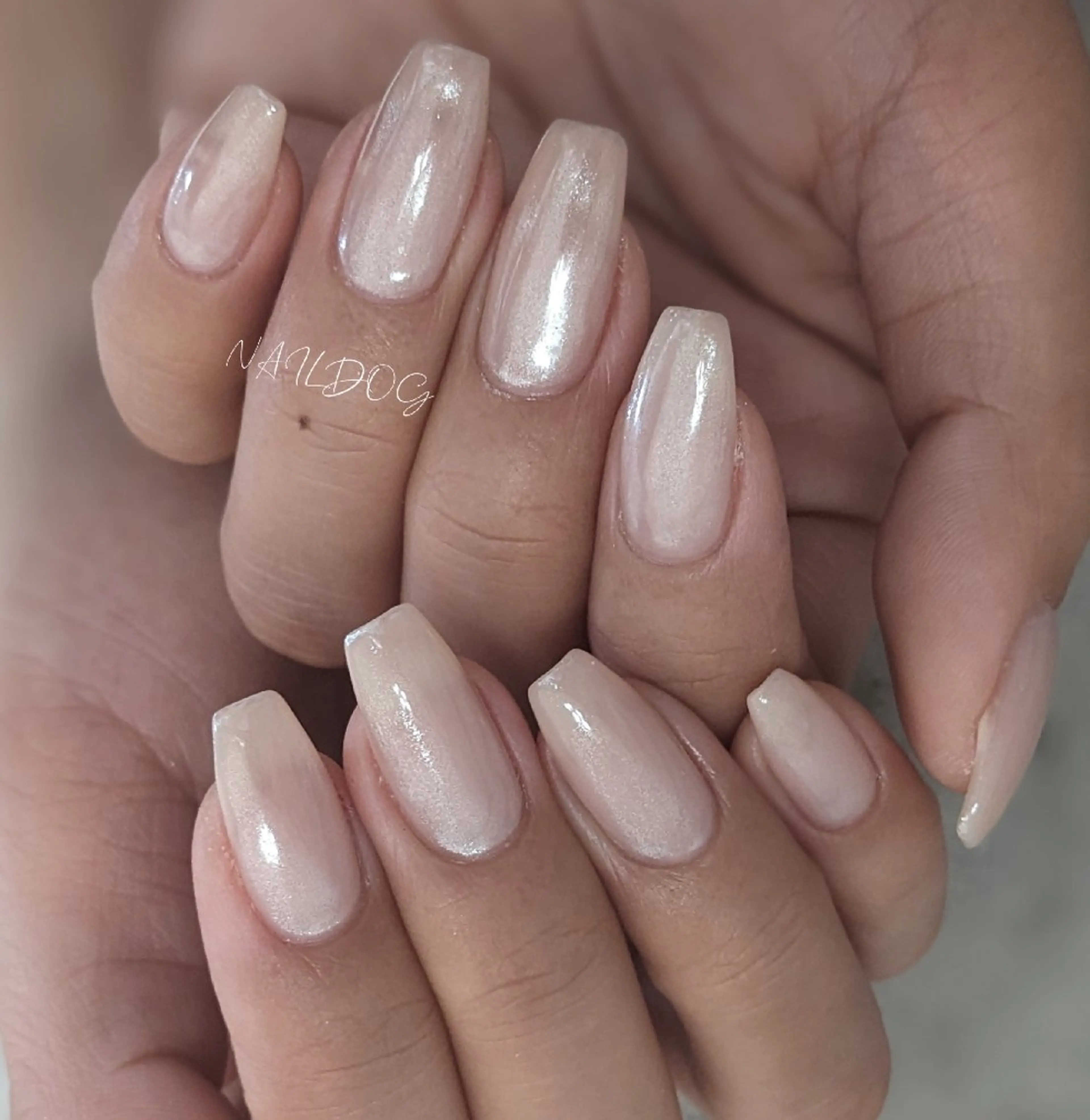 ネイル NAIL DOGのネイルデザイン