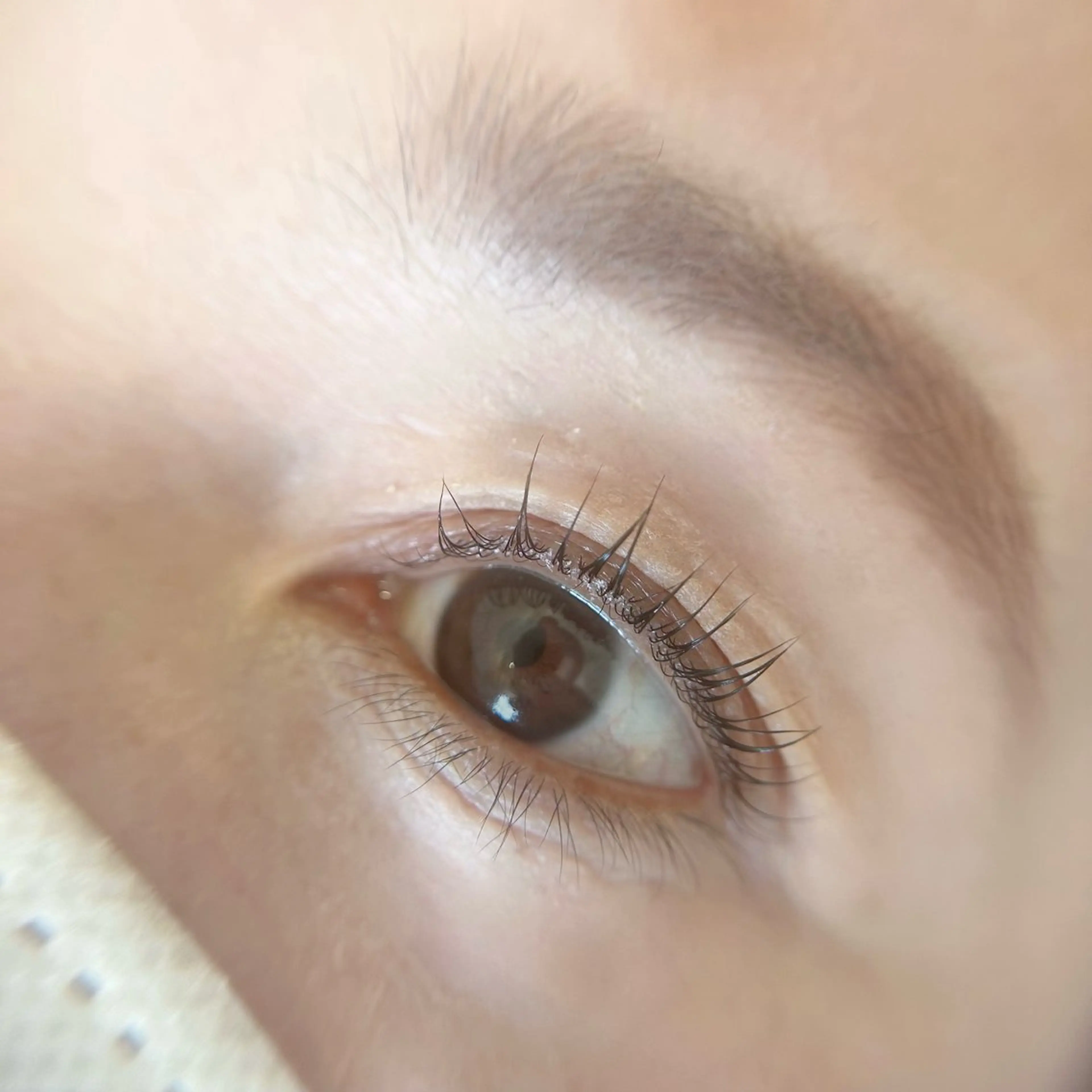 マツエク・マツパ 中島 奈美のマツエク・マツパデザイン