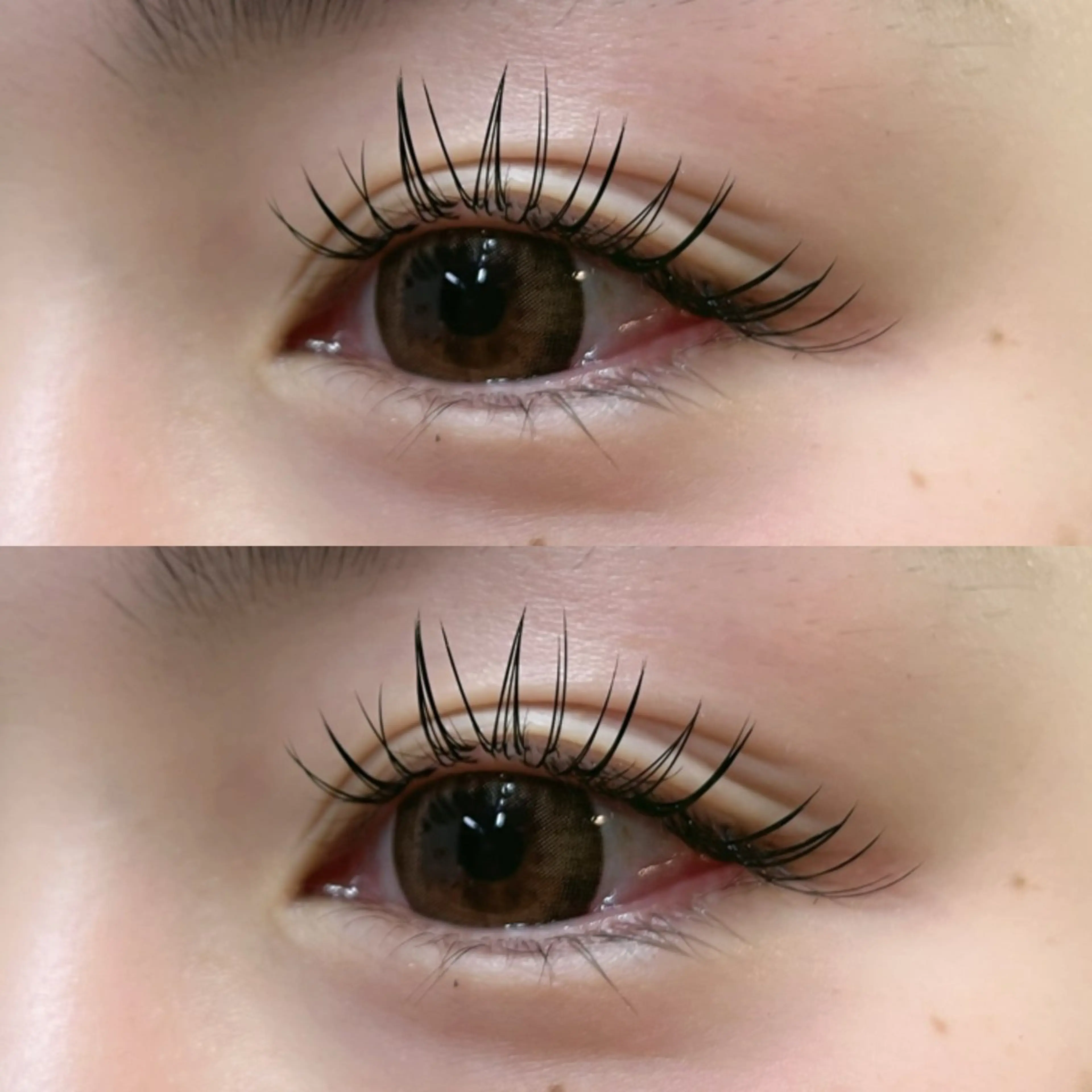 マツエク・マツパ マツエク リフュージュ　隠れ家所属・リフュージュ🌷 カホのマツエク・マツパデザイン