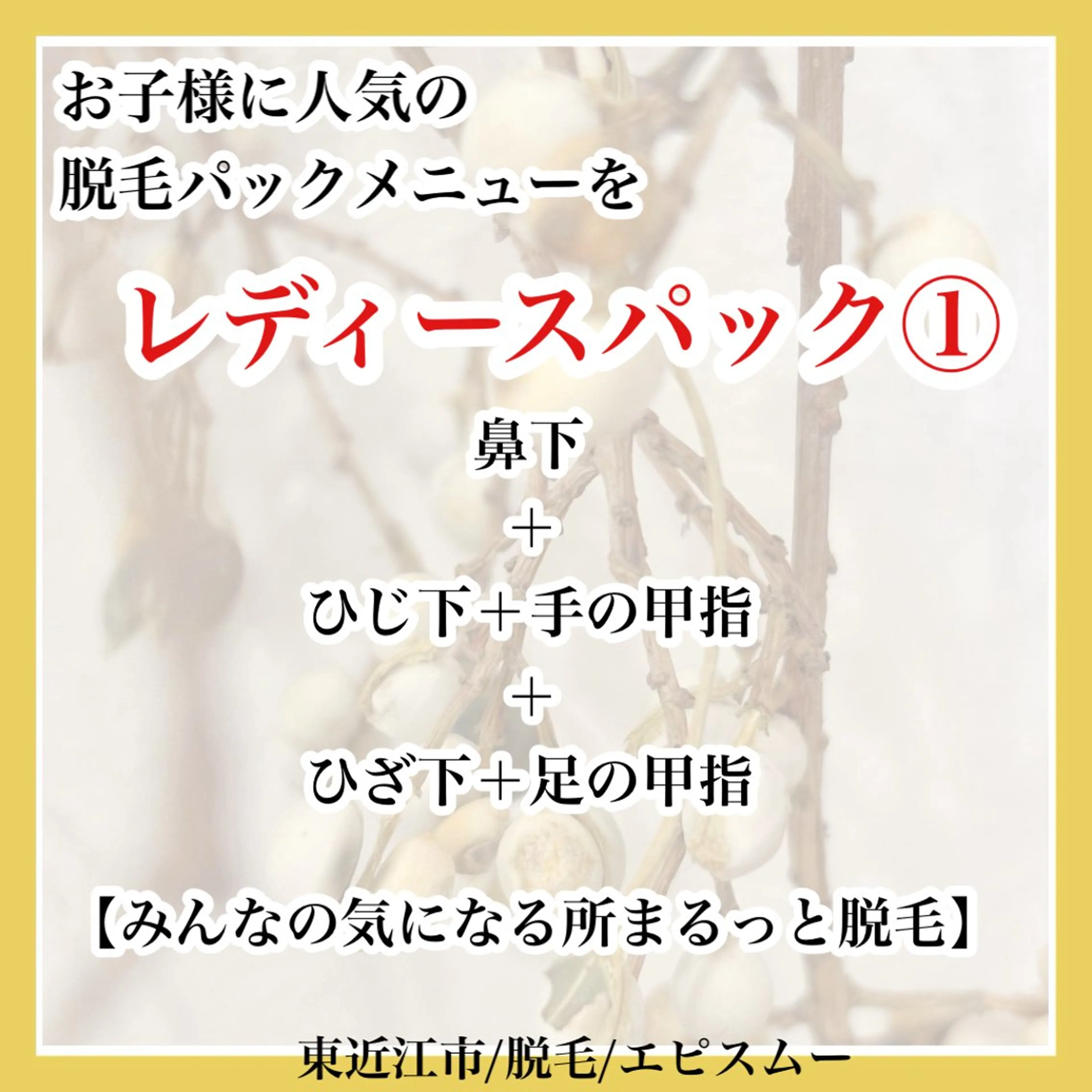 epismoo 脱毛/HBL/毛穴のエステ・リラクイメージ