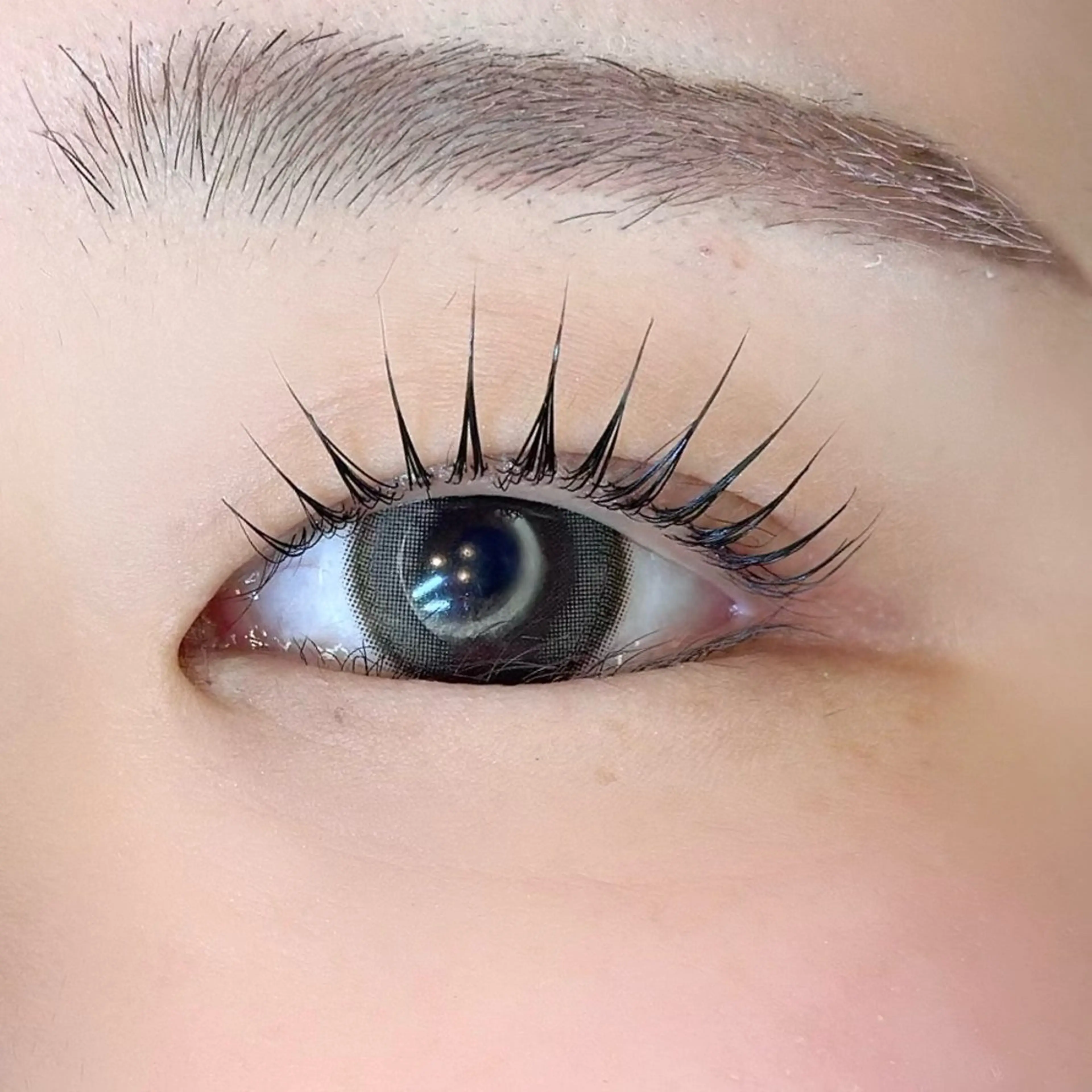 マツエク・マツパ ケラチンラッシュリフト ella所属・ella eyelashのマツエク・マツパデザイン