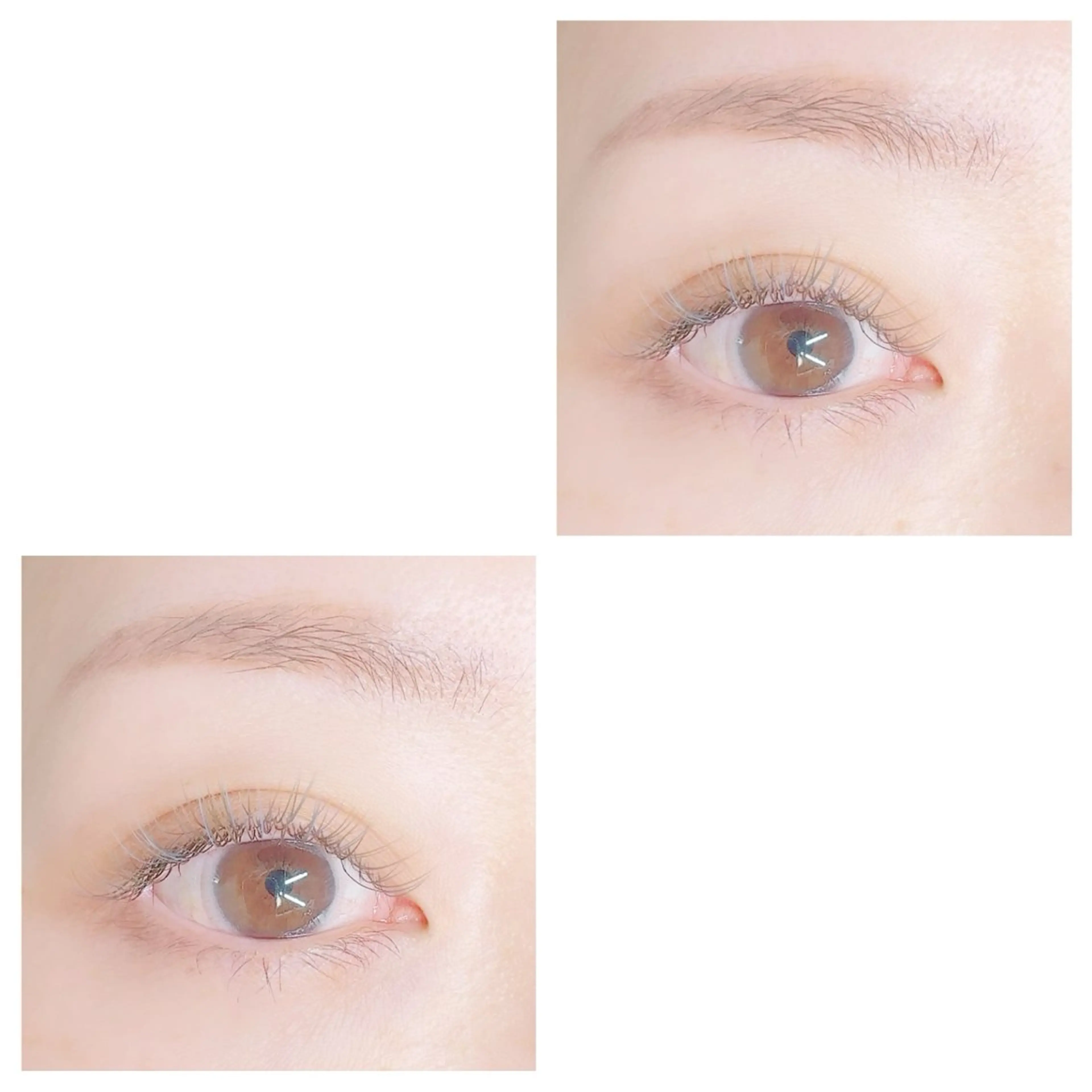 マツエク・マツパ plume eyelashのマツエク・マツパデザイン