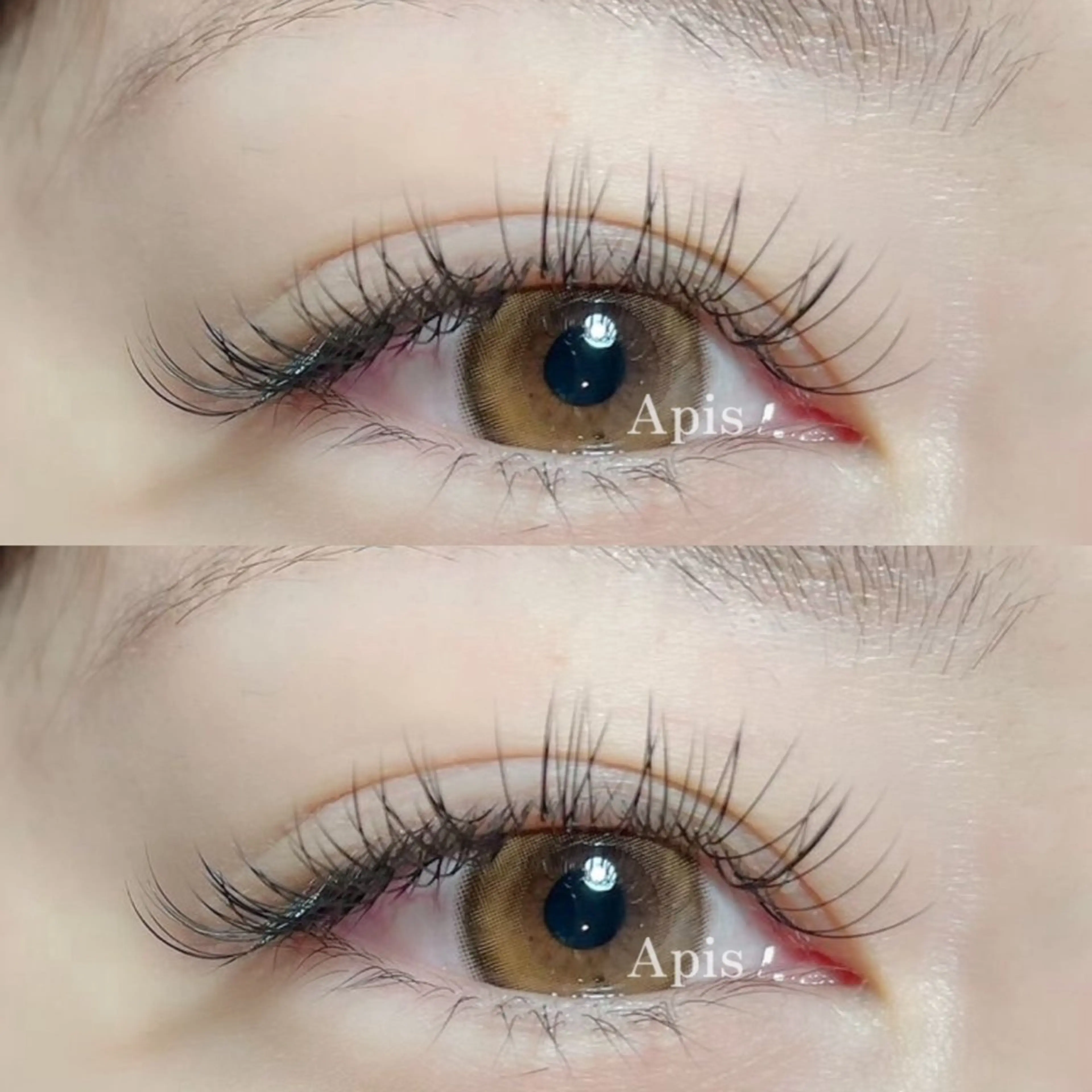 マツエク・マツパ フラットラッシュ Apis🎀 愛媛/松山のマツエク・マツパデザイン