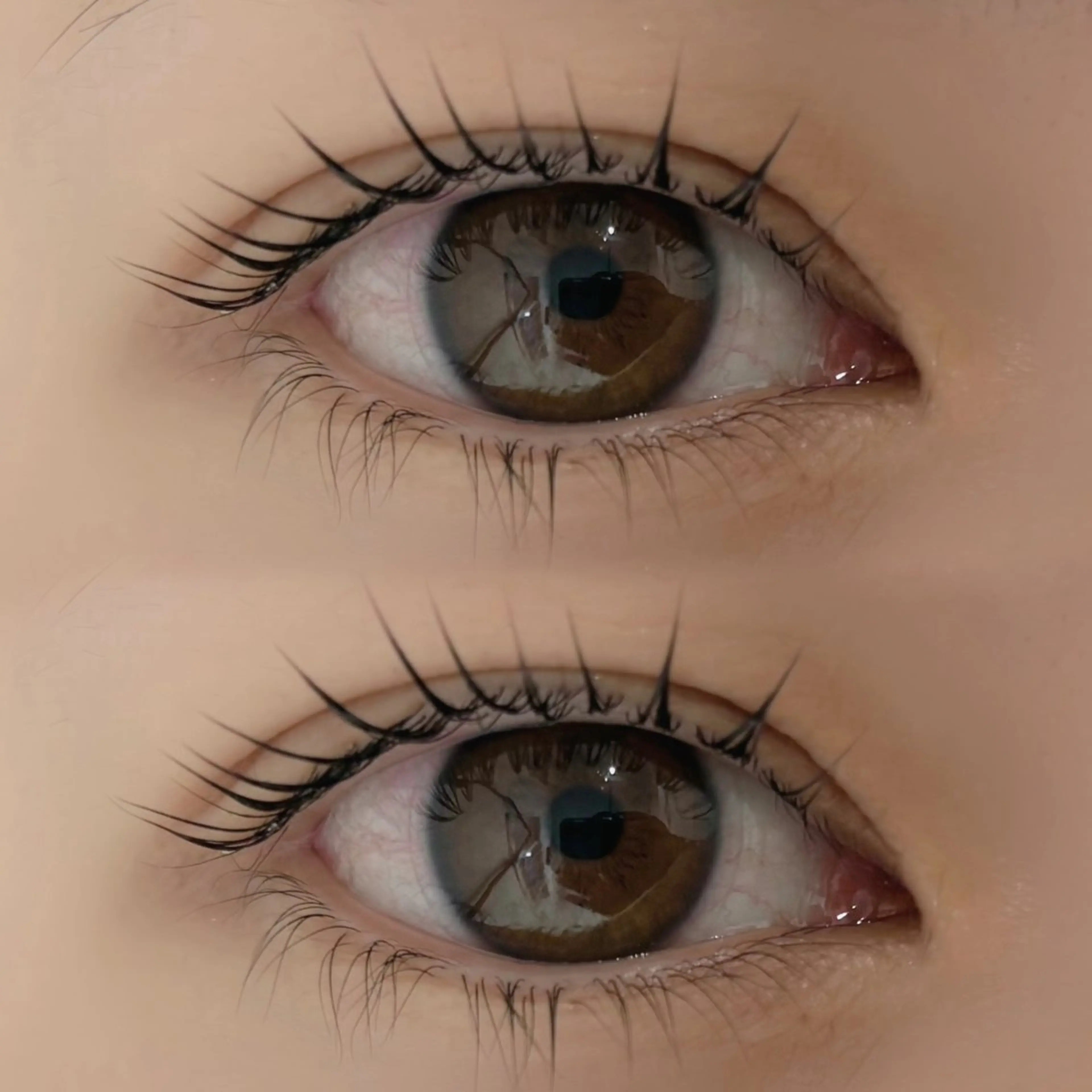 🪞- ̗̀  上まつげパーマ   ̖́-🪞☆90分程度 ￥3000の写真